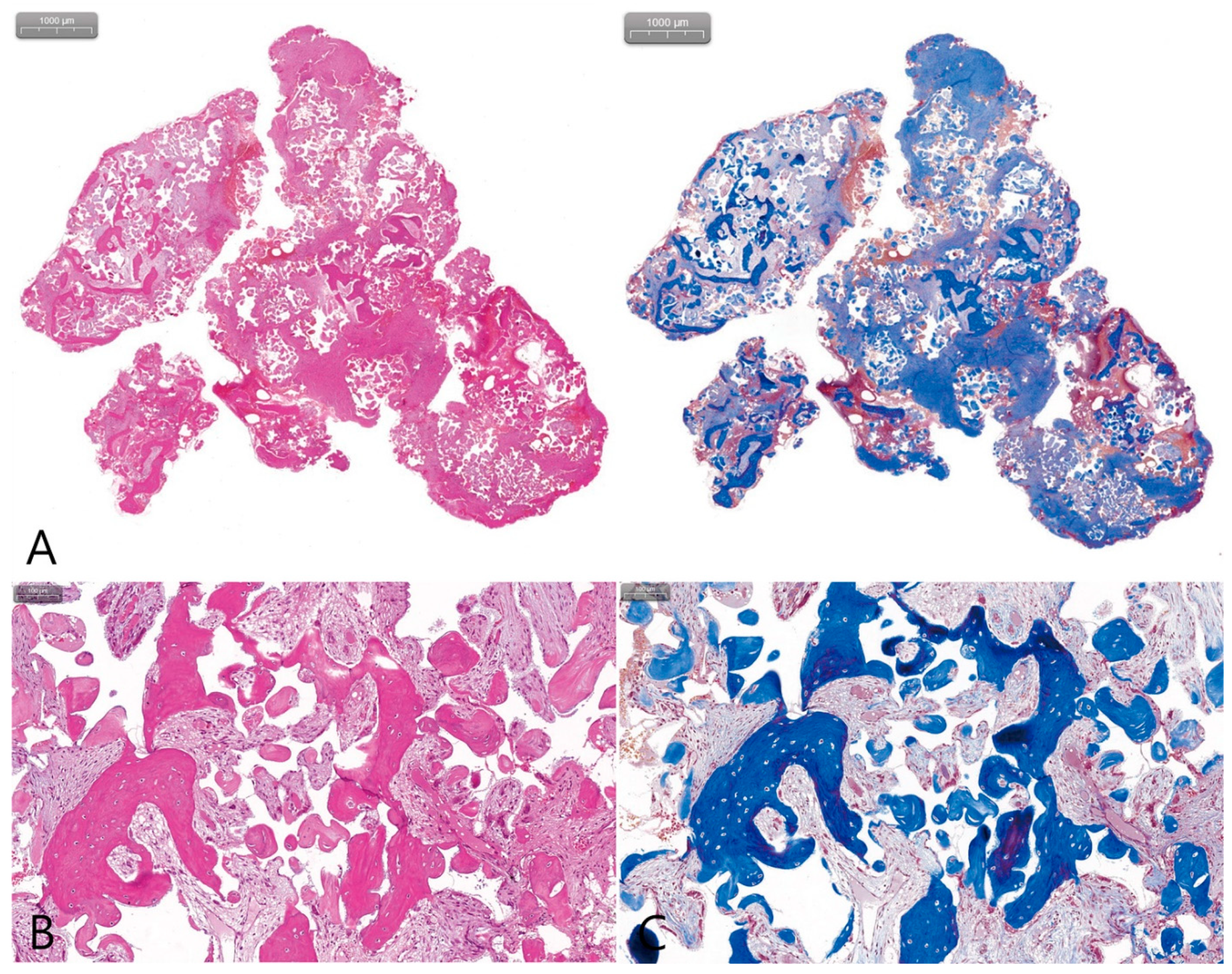 Medicina 58 01300 g002