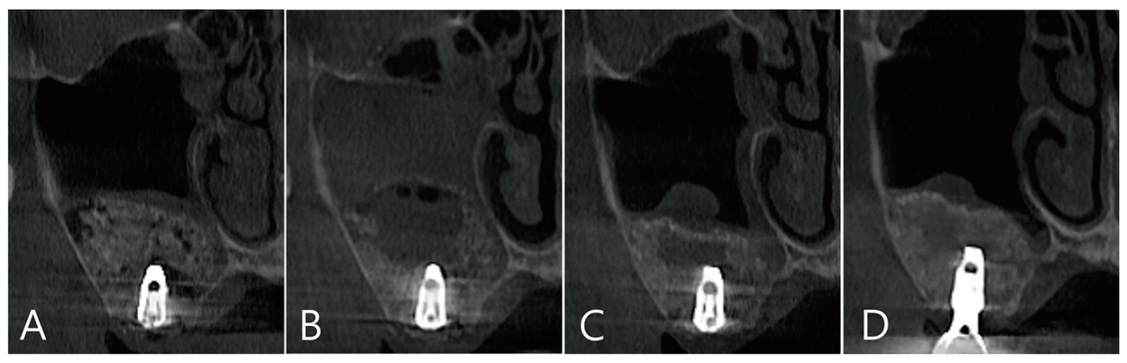 Medicina 58 01300 g003