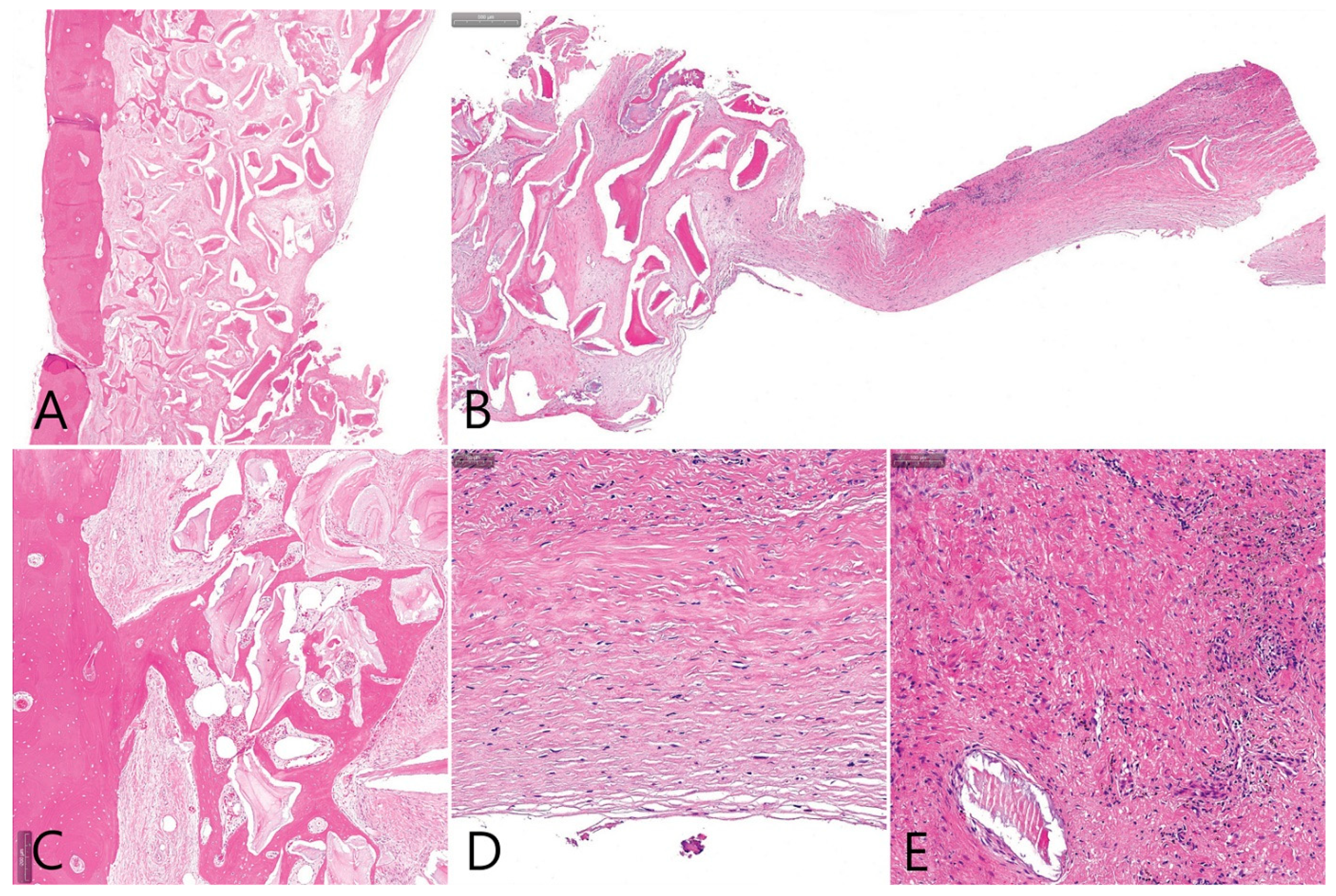 Medicina 58 01300 g006