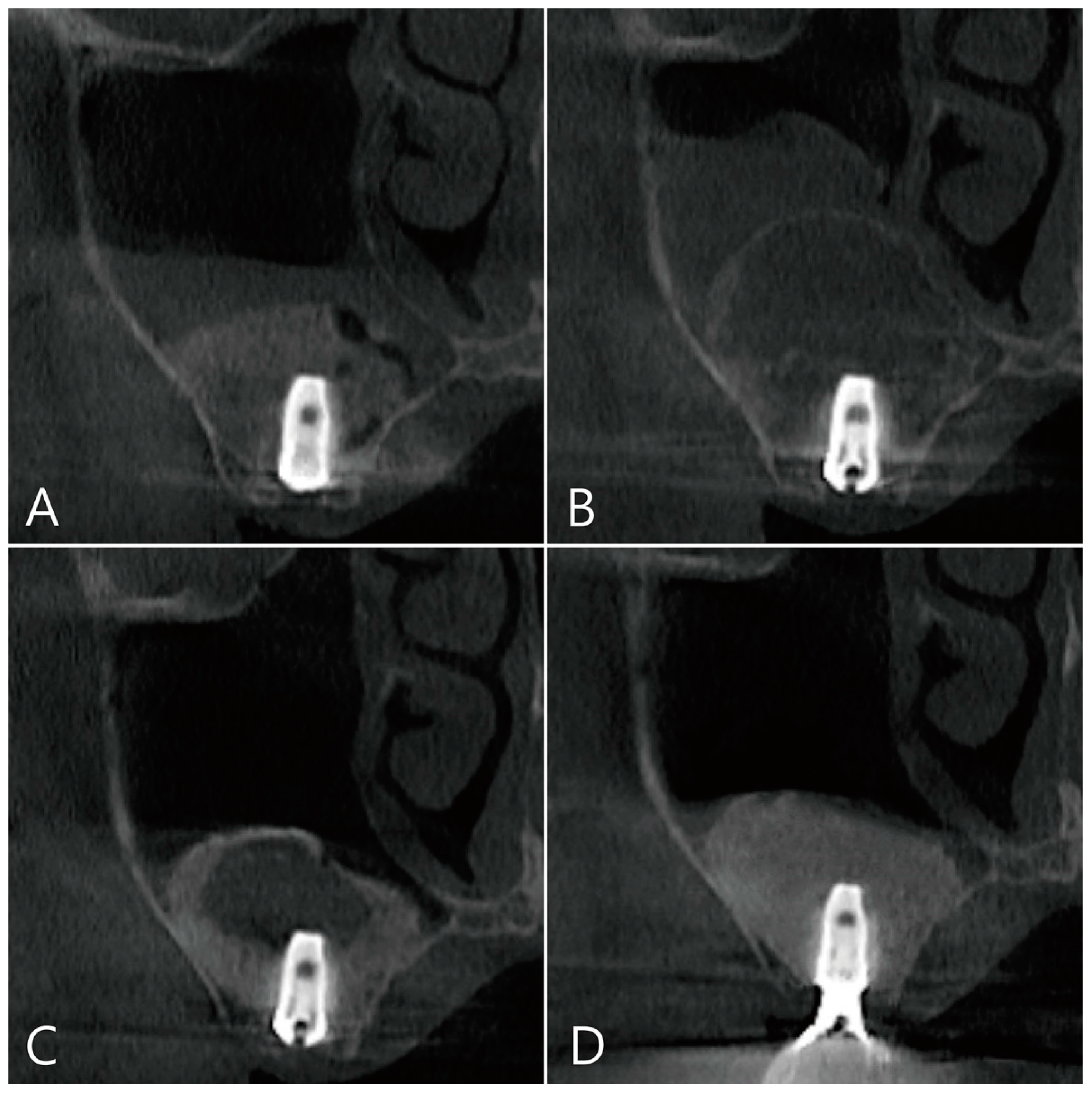 Medicina 58 01300 g007