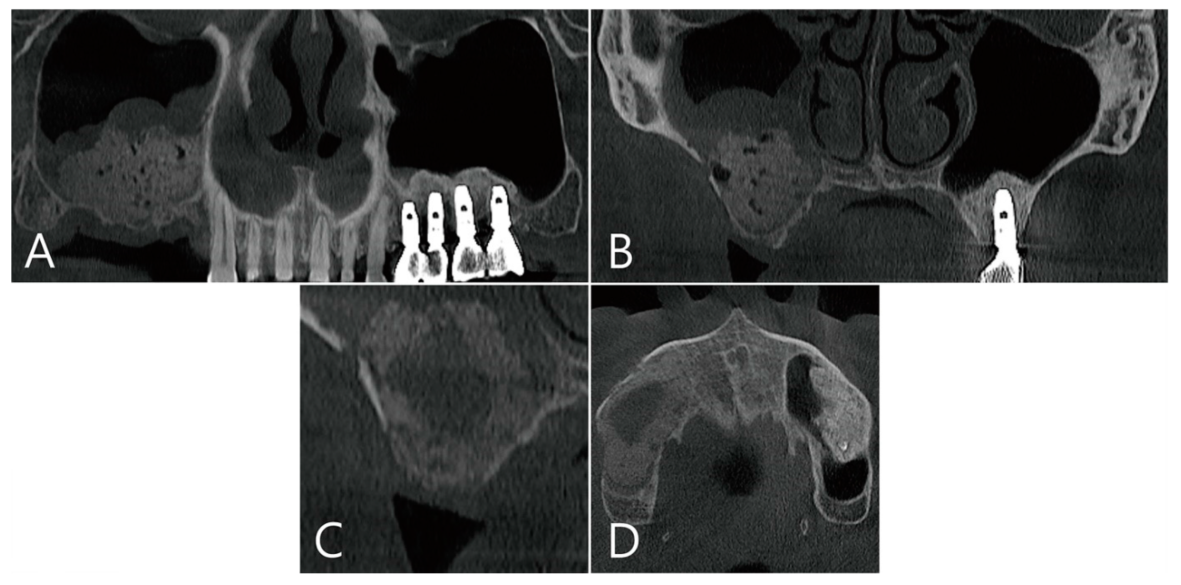 Medicina 58 01300 g008