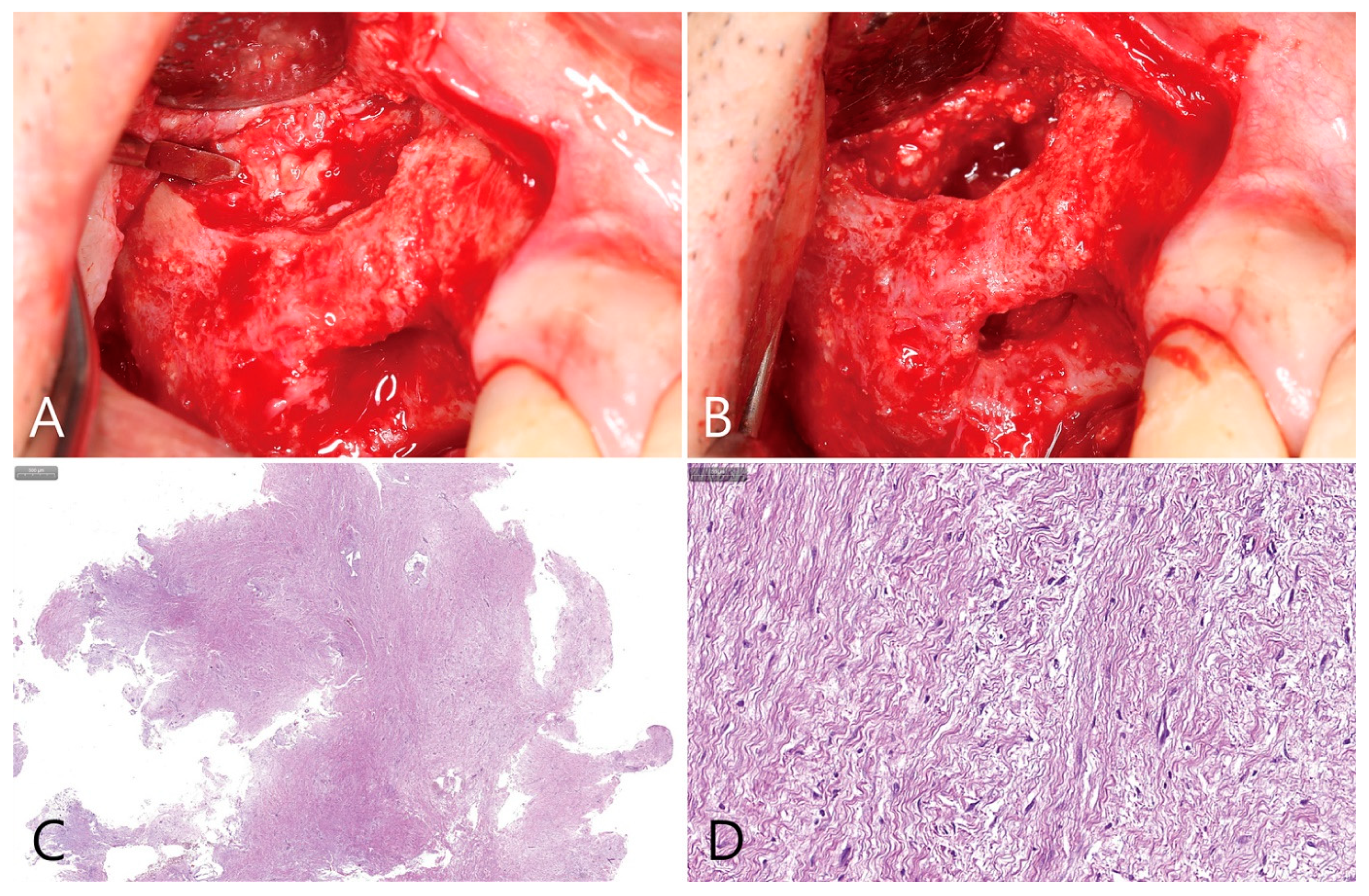 Medicina 58 01300 g009