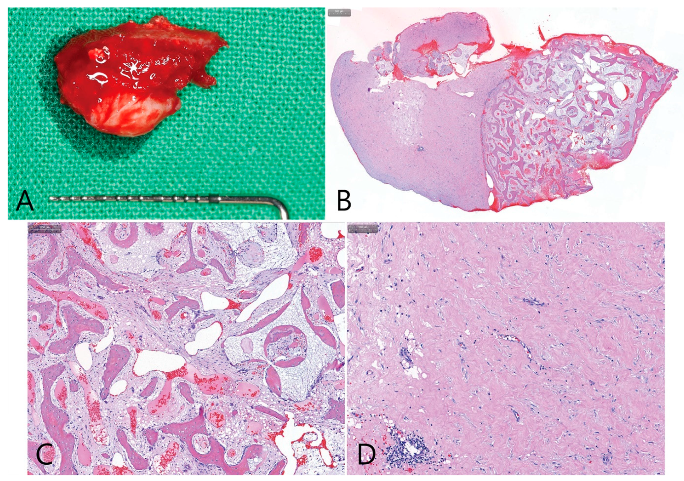 Medicina 58 01300 g012