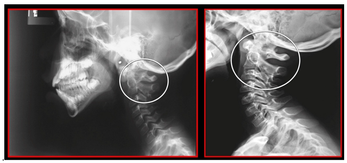 Medicina 58 01324 g009