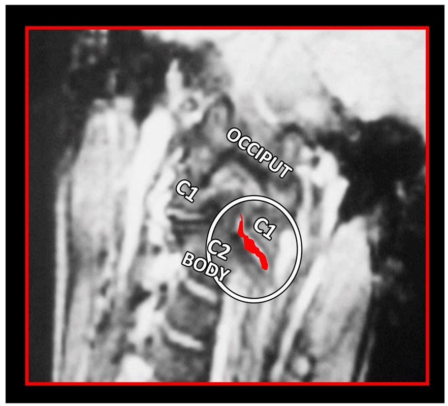 Medicina 58 01324 g020