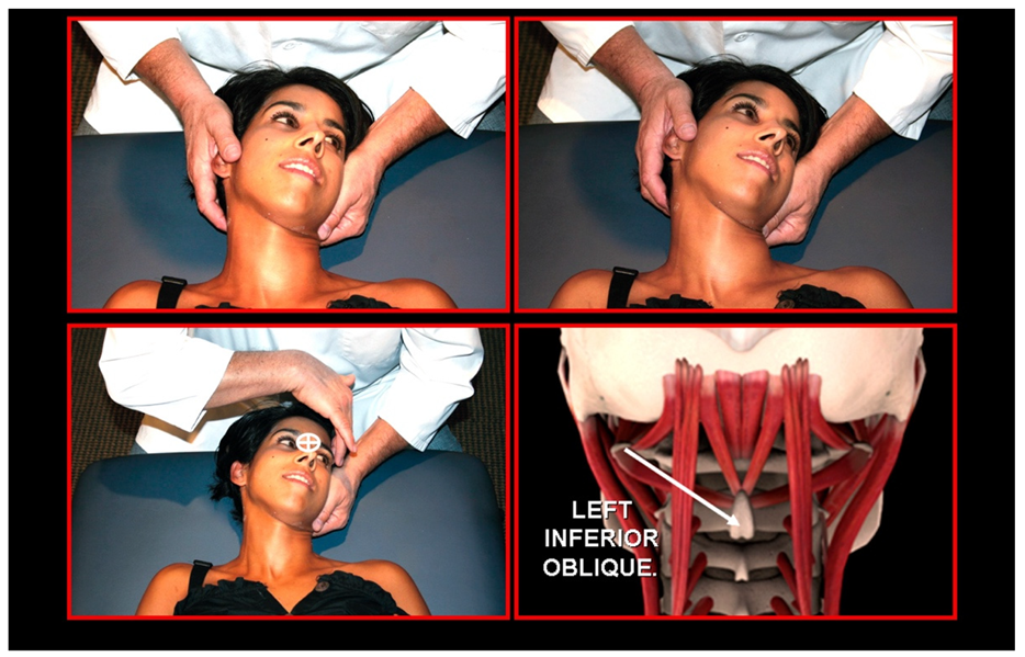 Medicina 58 01324 g023