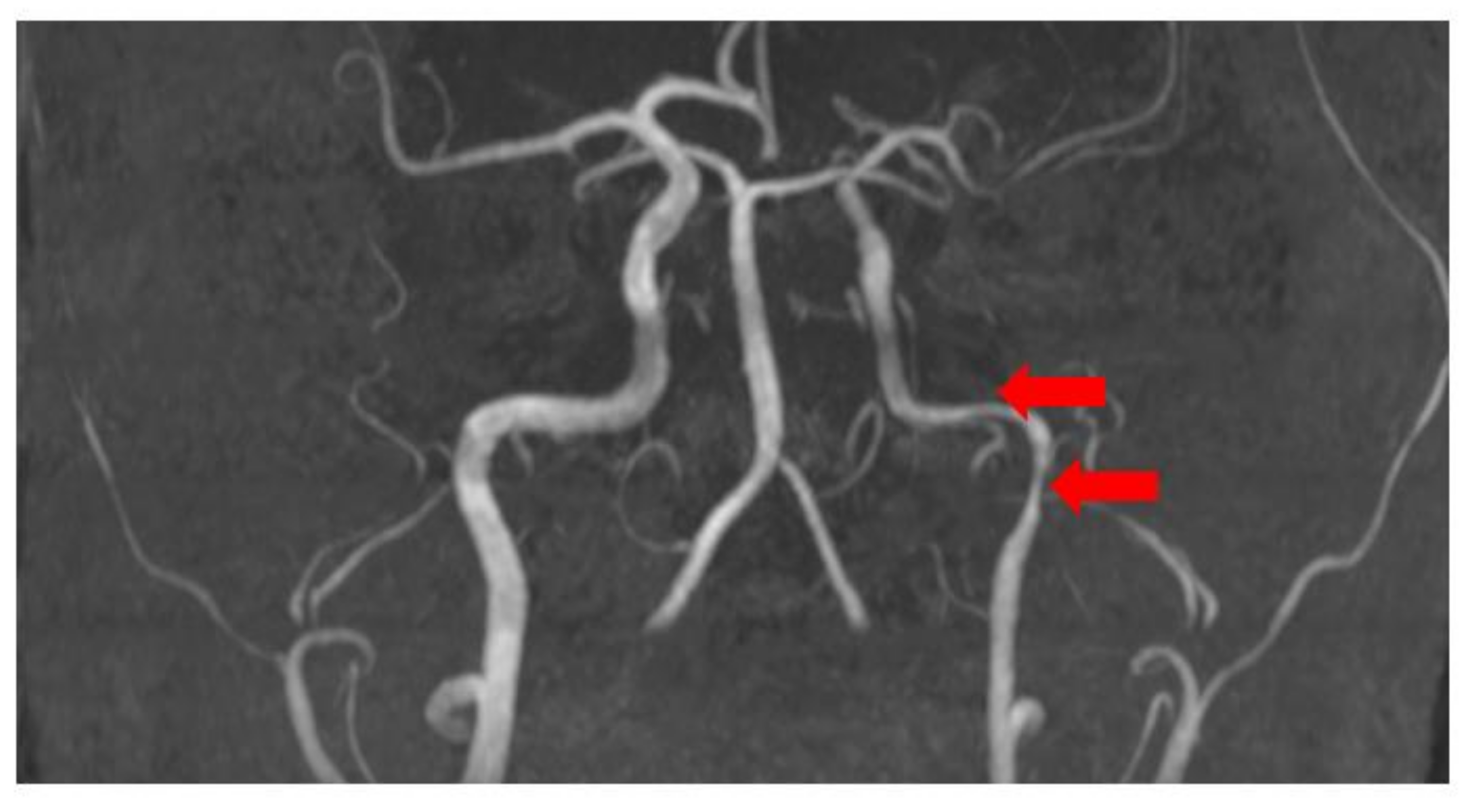Medicina 58 01328 g003