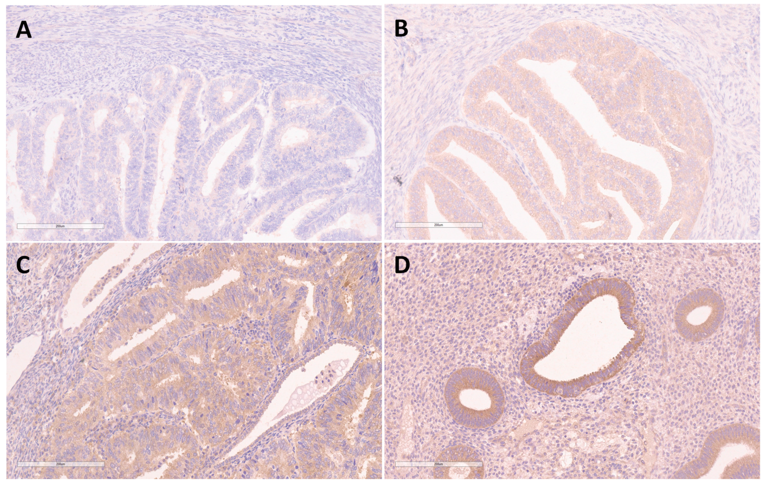 Medicina 58 01330 g001