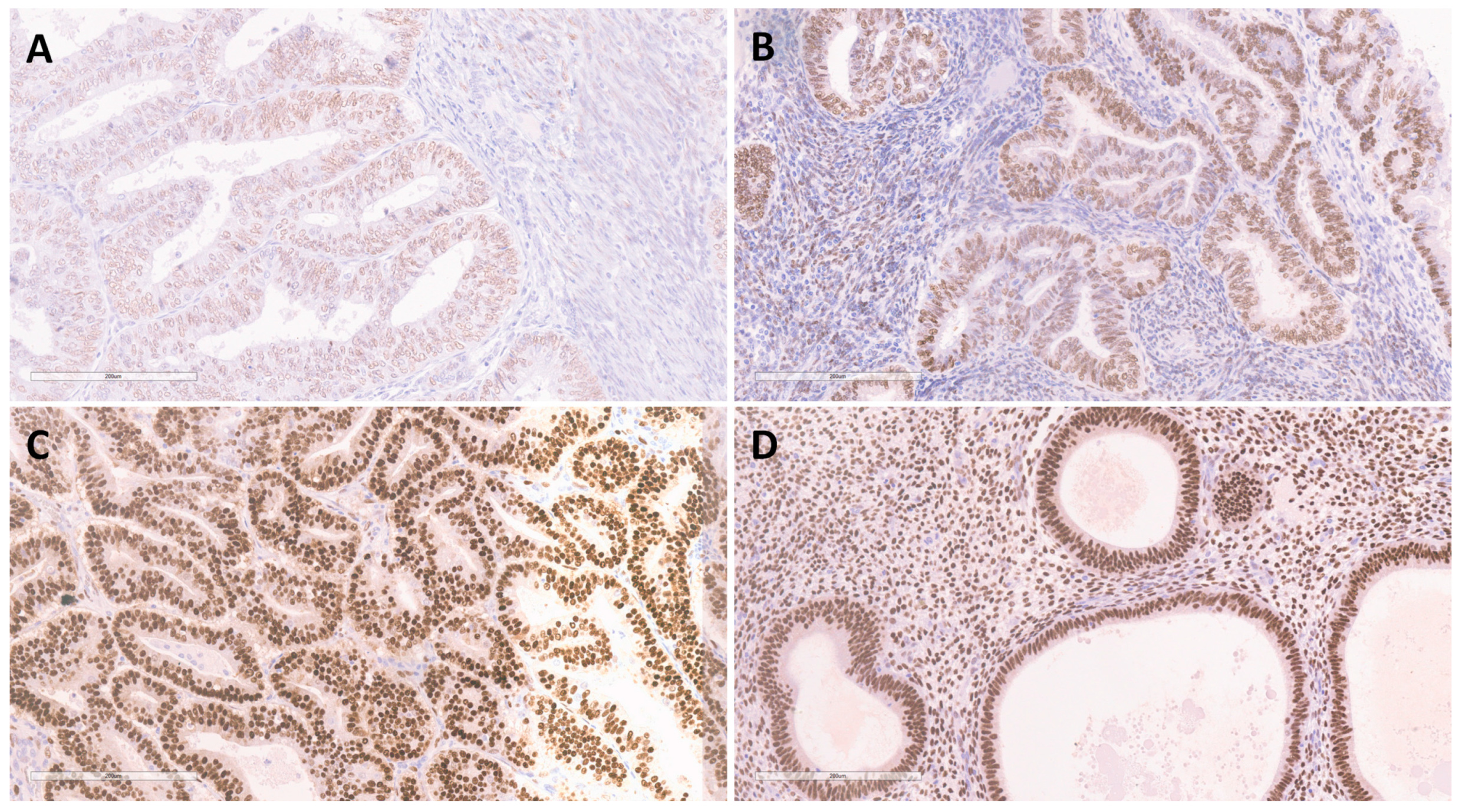 Medicina 58 01330 g002