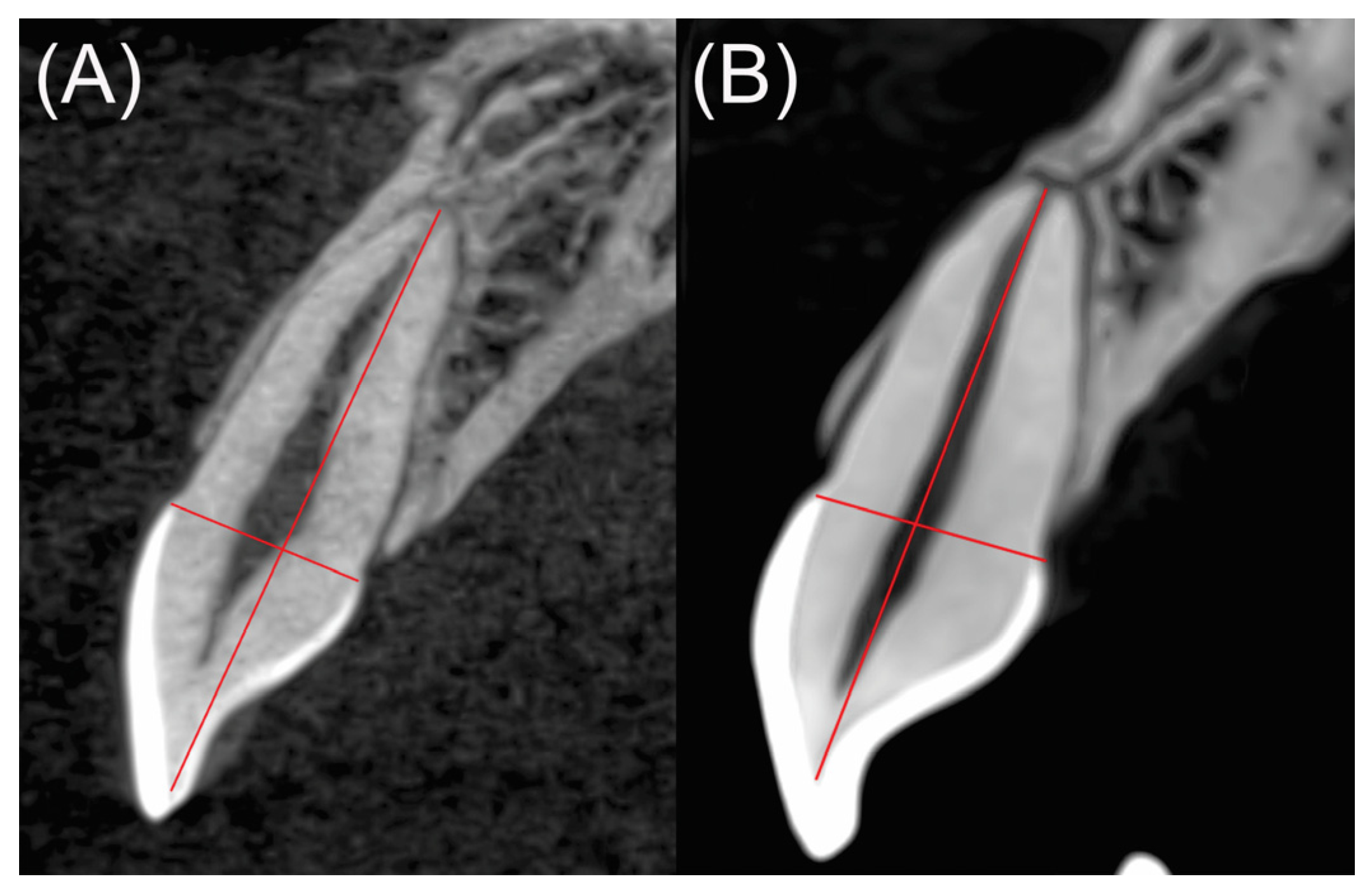 Medicina 58 01342 g001 Medicina 58 01342 g001