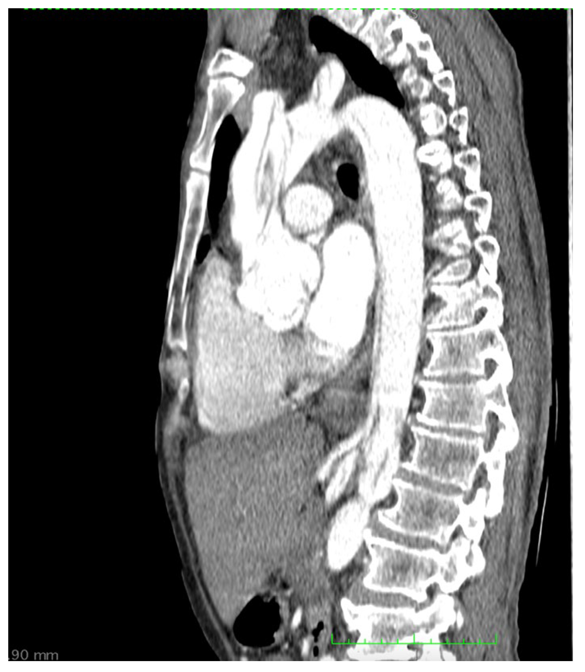 Medicina 58 01357 g002