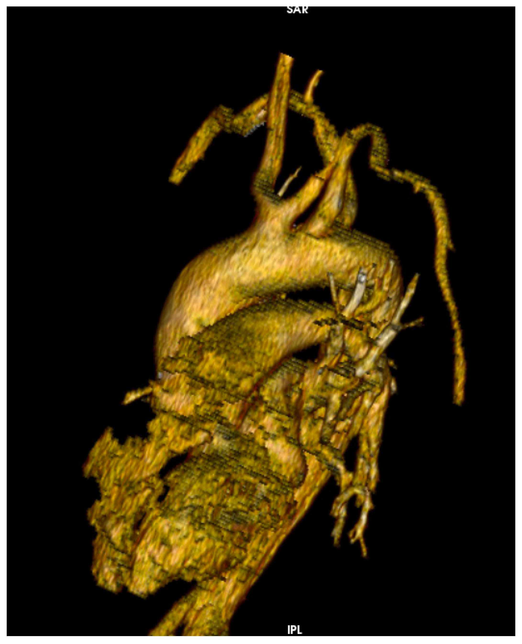 Medicina 58 01357 g003