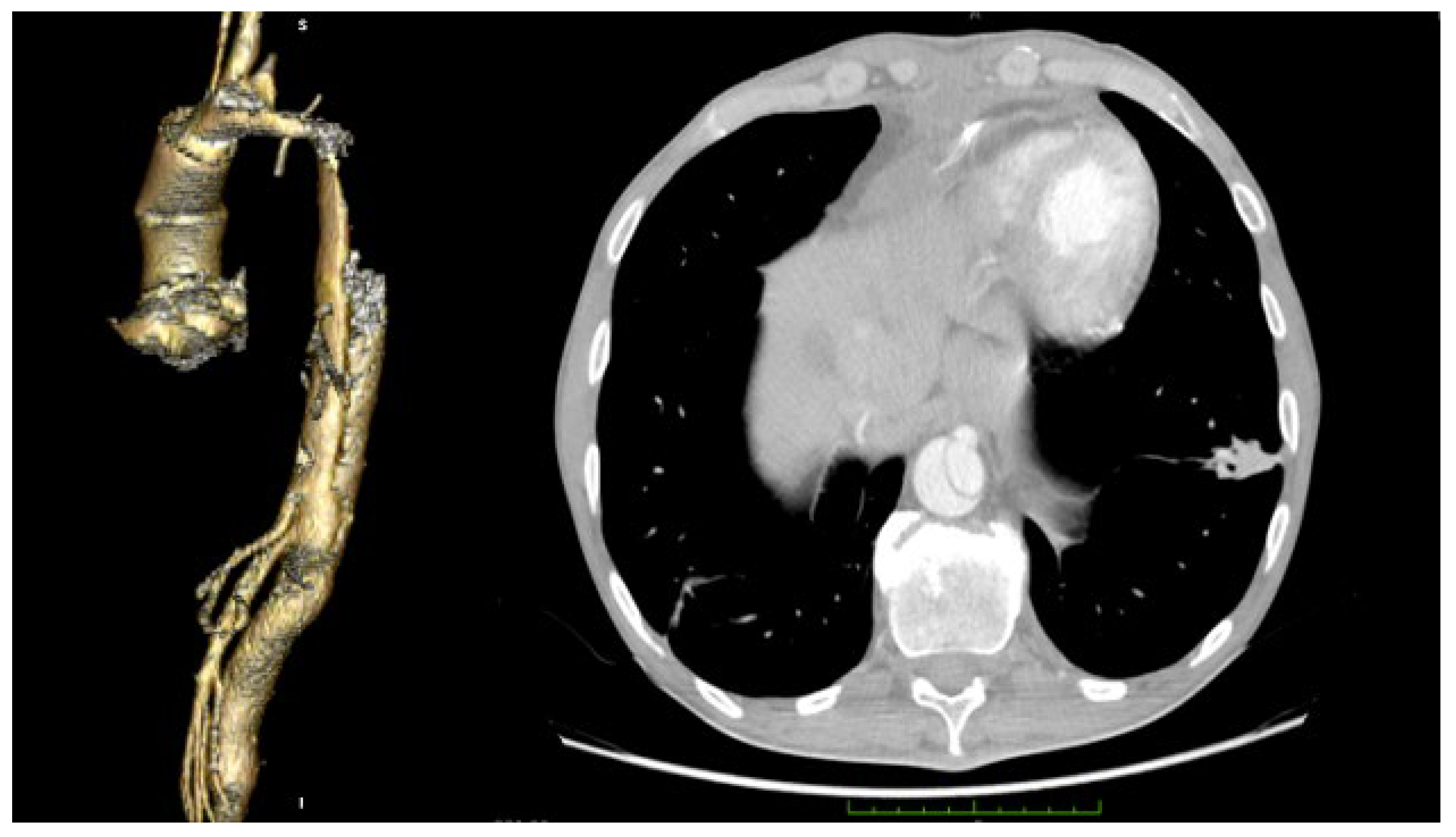 Medicina 58 01357 g006