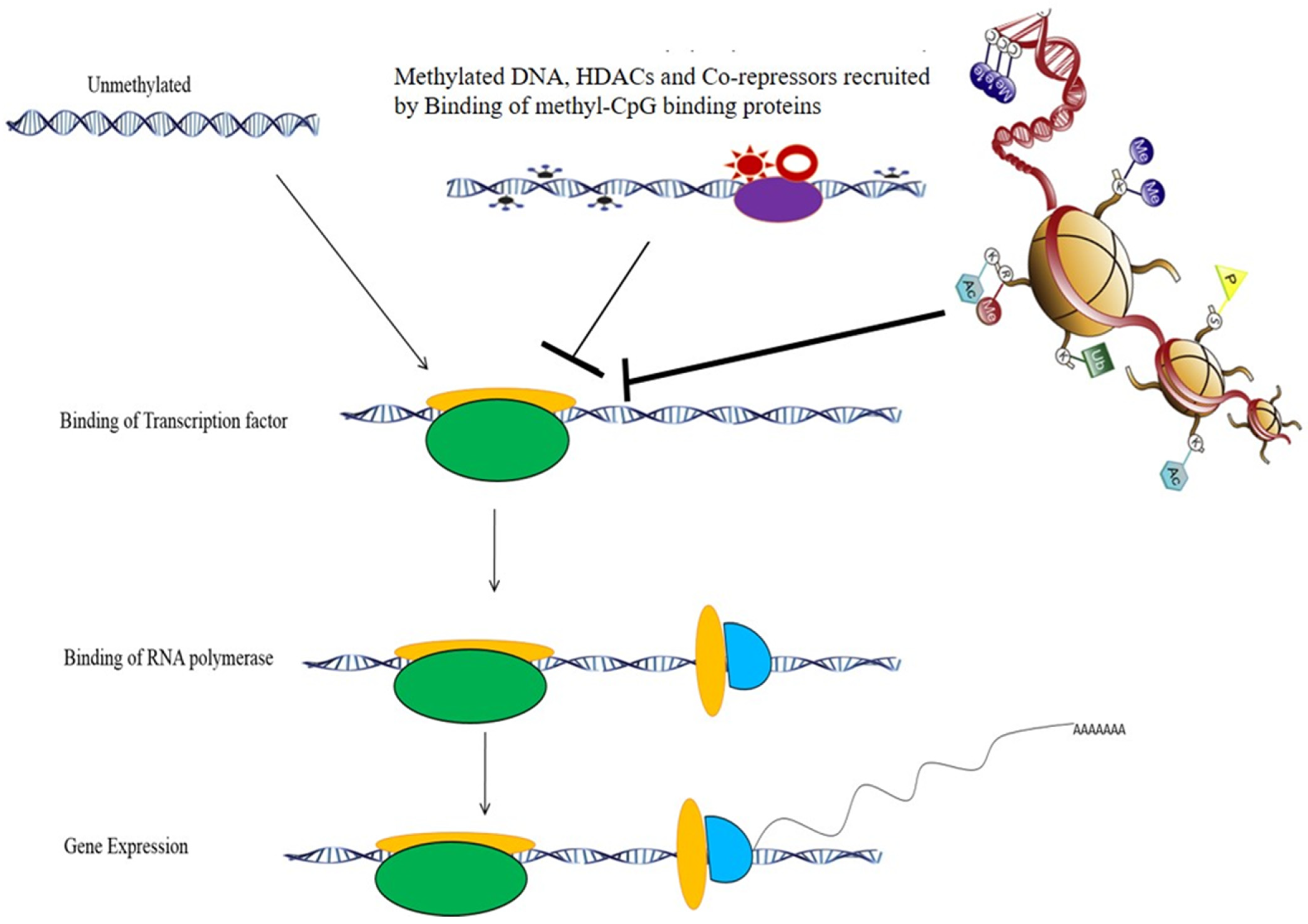 Medicina 58 01366 g001
