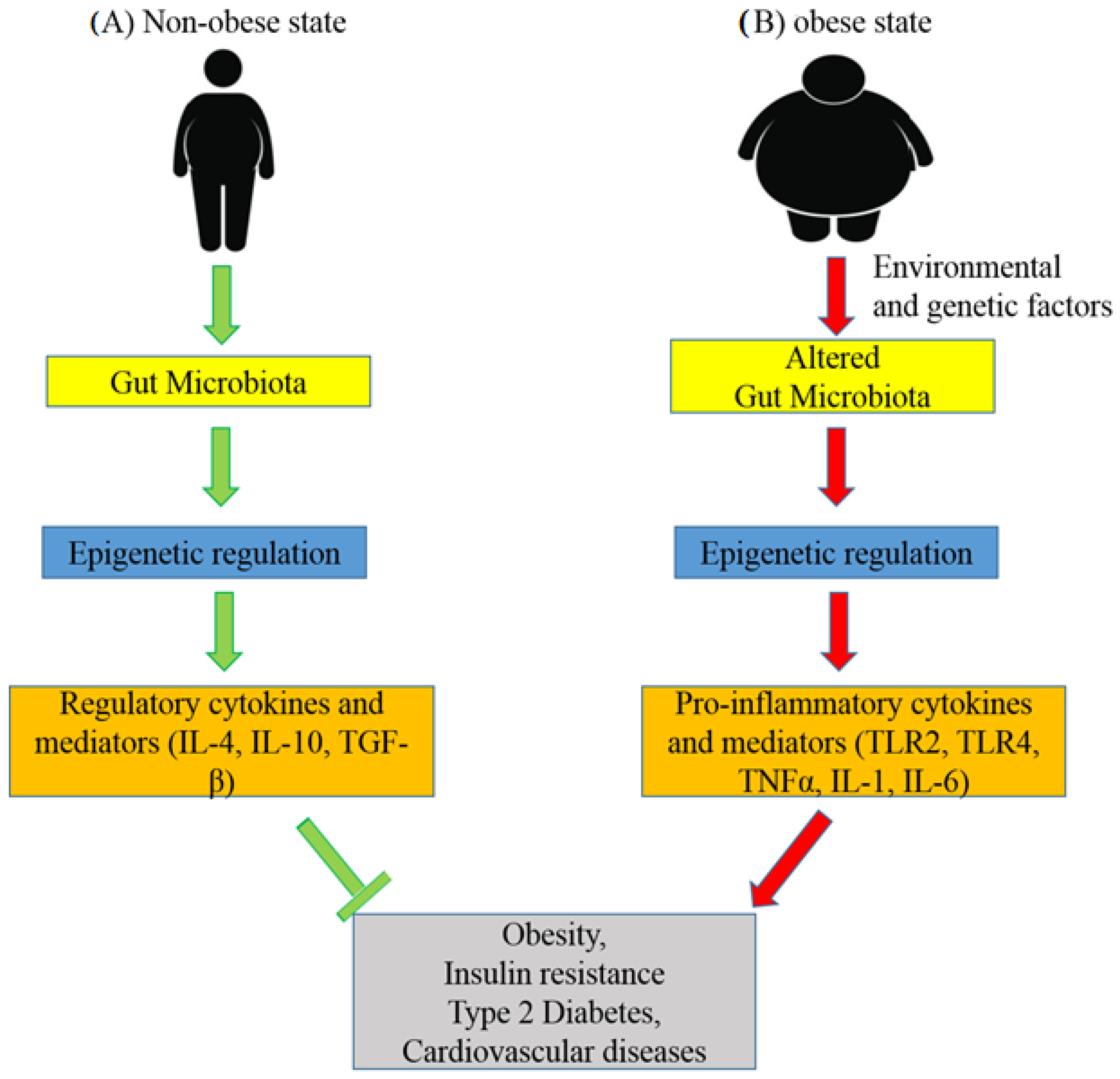 Medicina 58 01366 g003