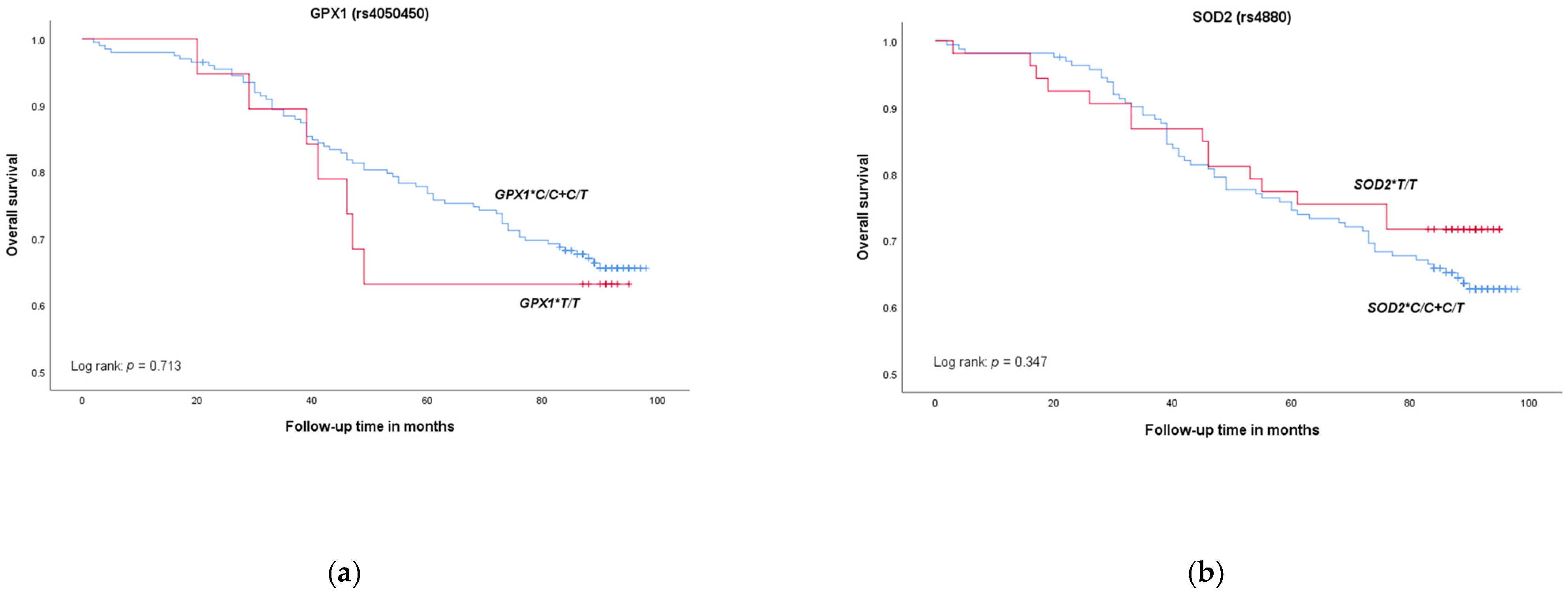 Medicina 58 01414 g001a