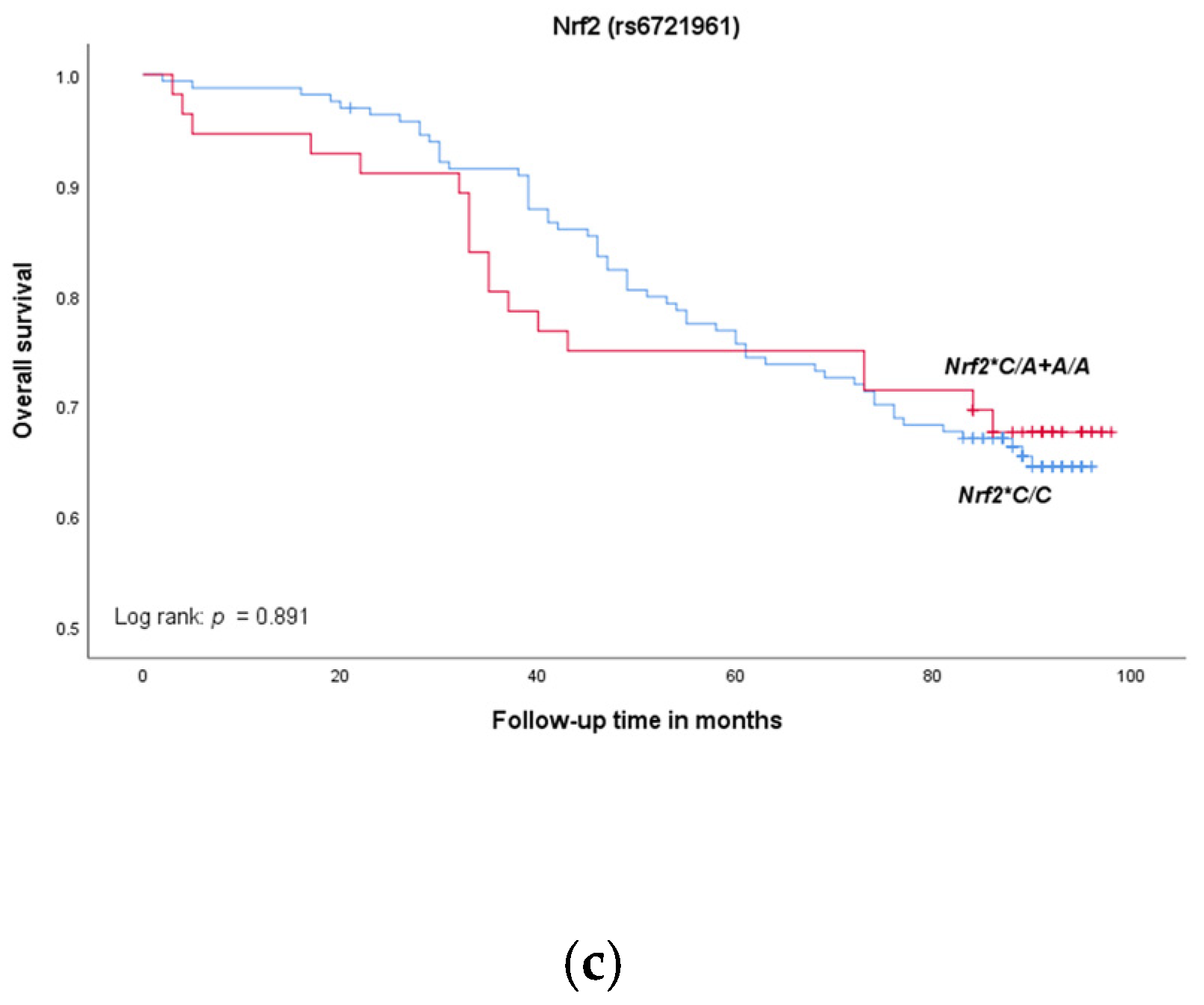 Medicina 58 01414 g001b