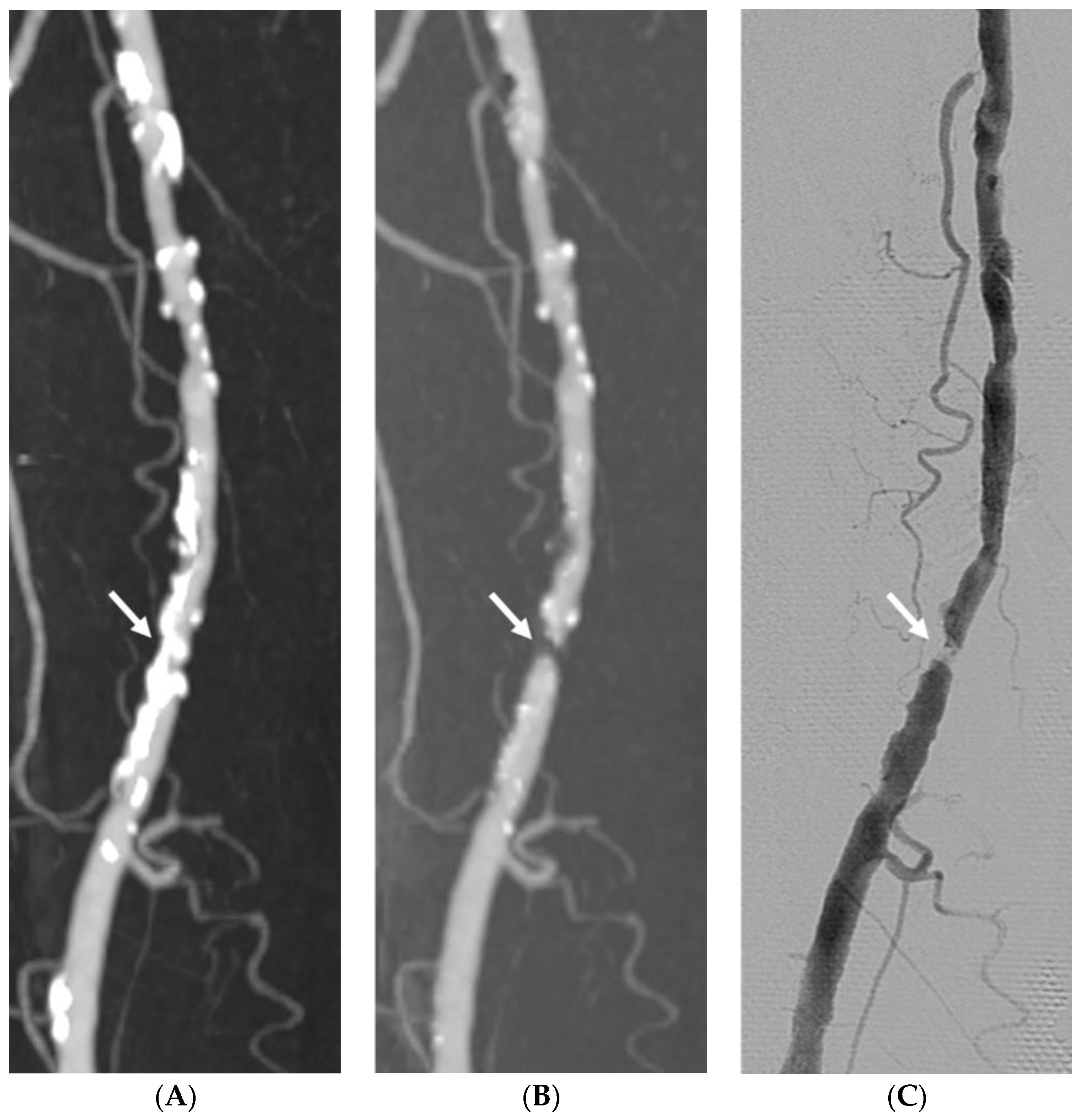 Medicina 58 01435 g003