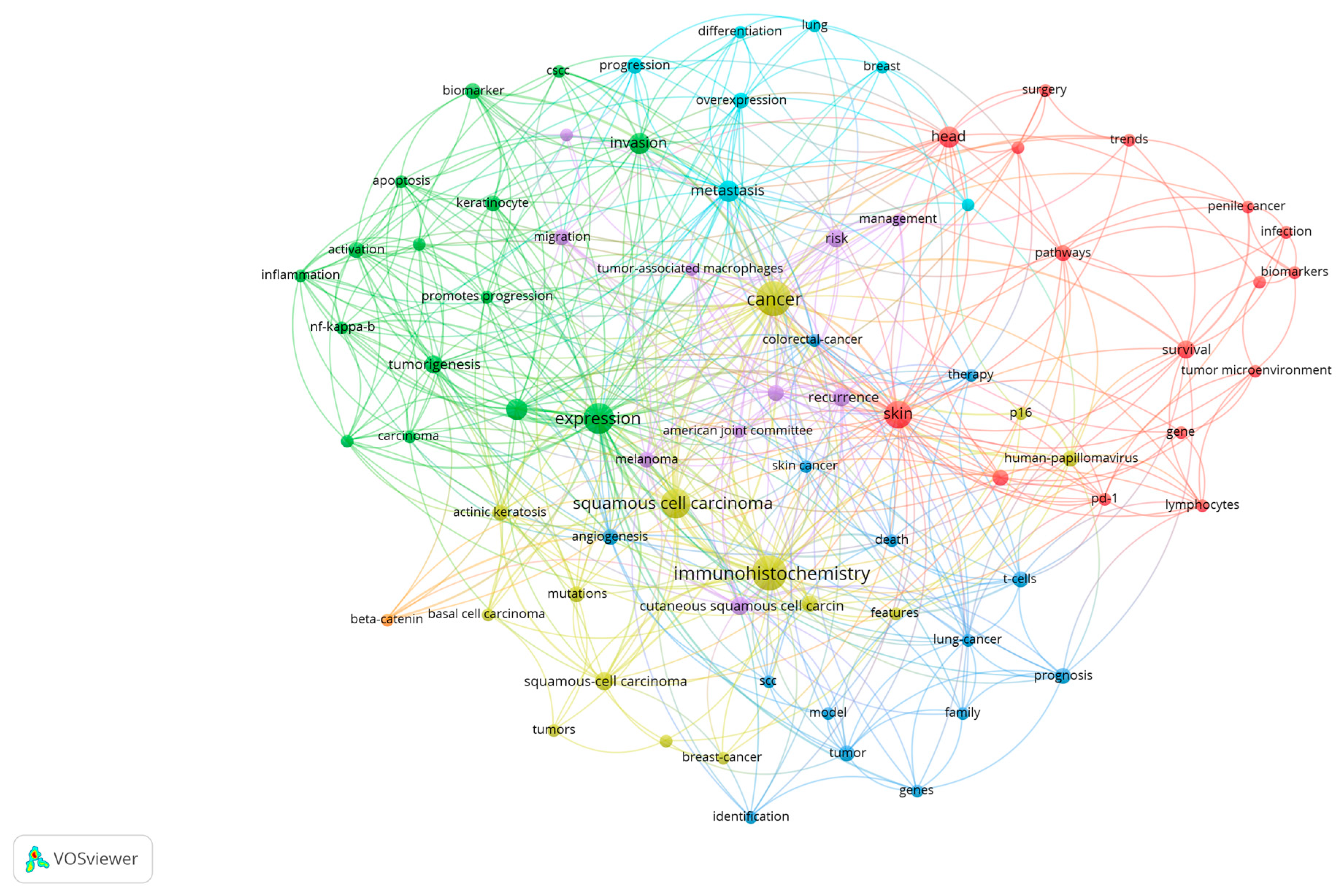 Medicina 58 01449 g002 Medicina 58 01449 g002