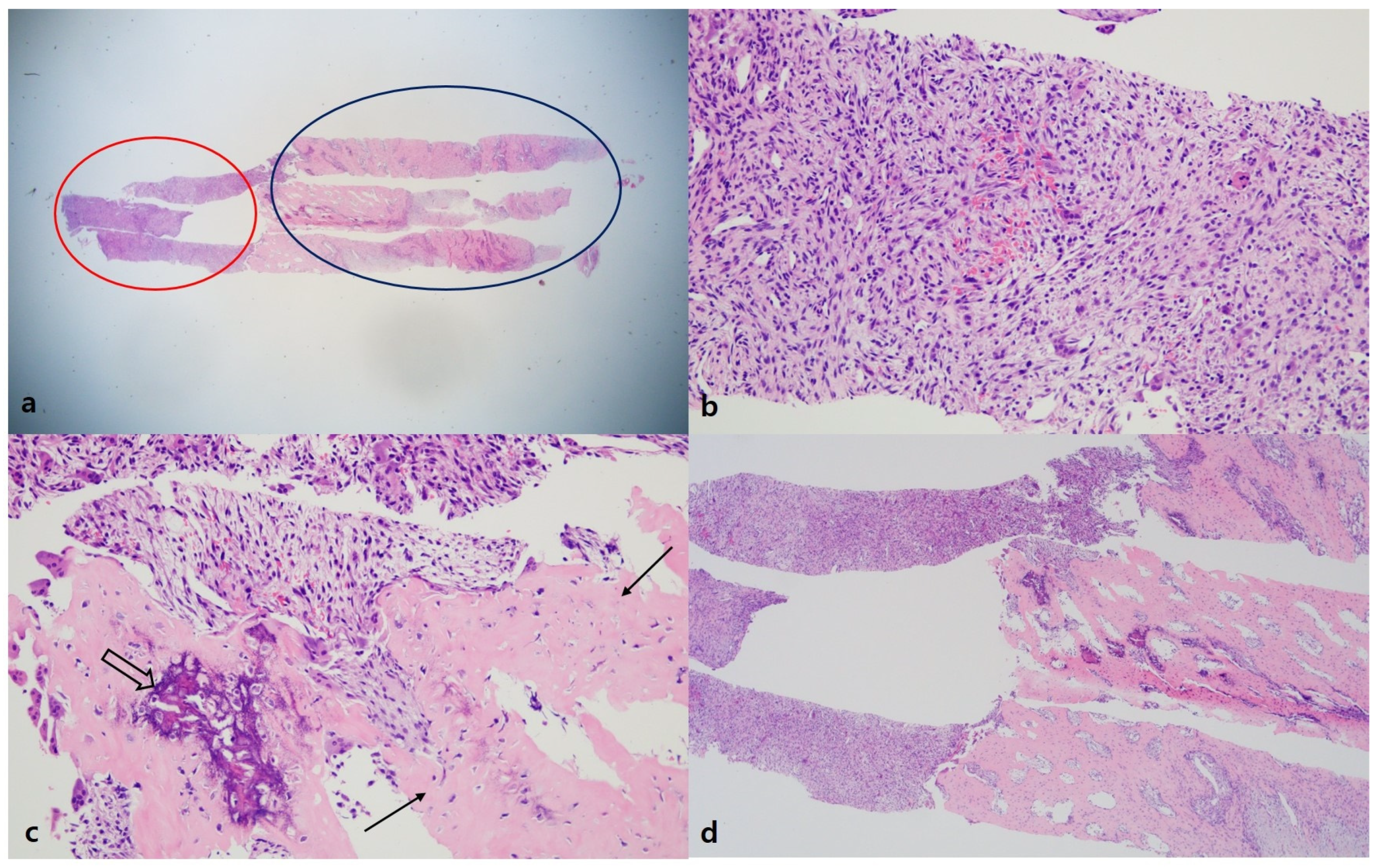 Medicina 58 01452 g005