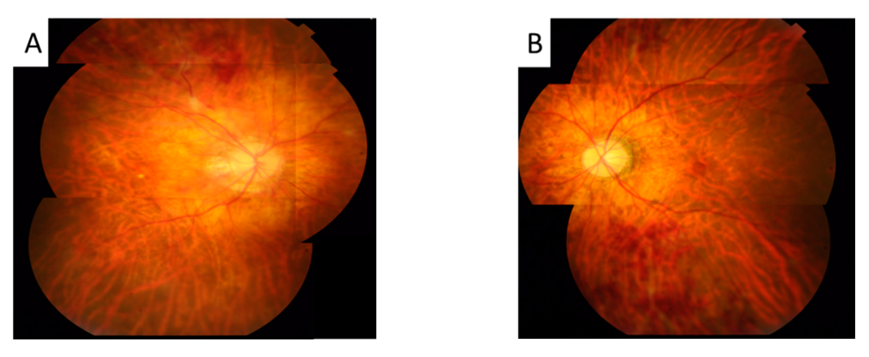Medicina 58 01467 g001