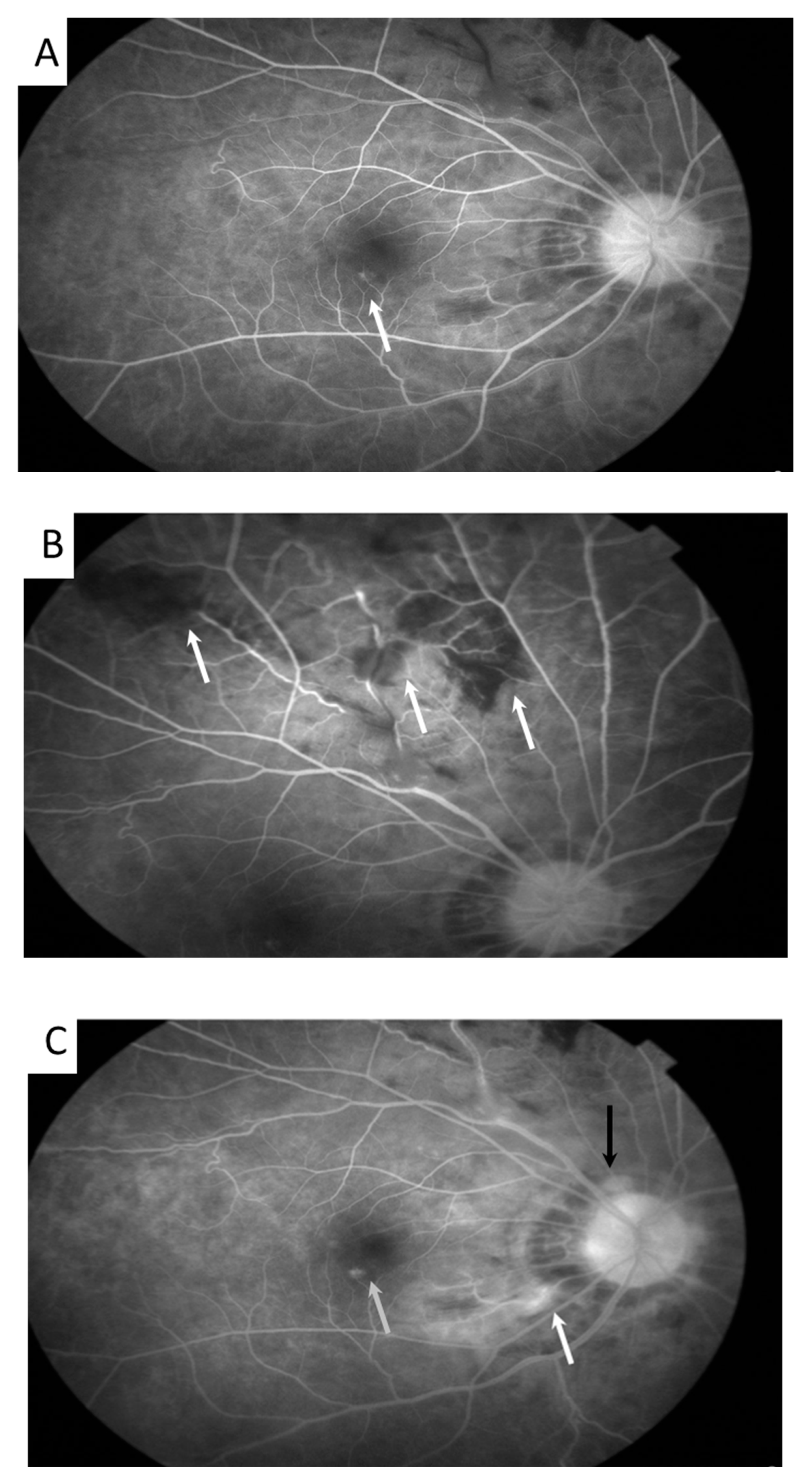Medicina 58 01467 g002
