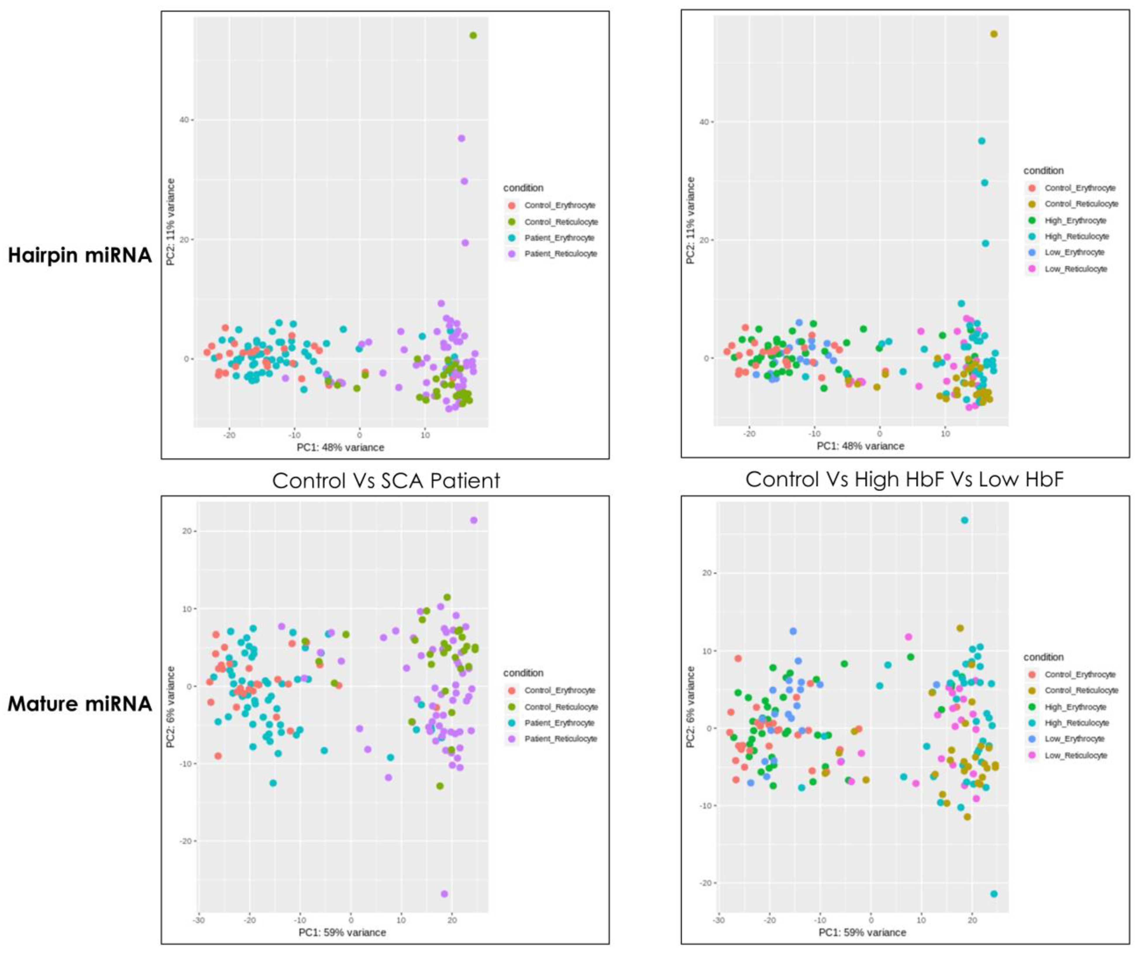 Medicina 58 01470 g001