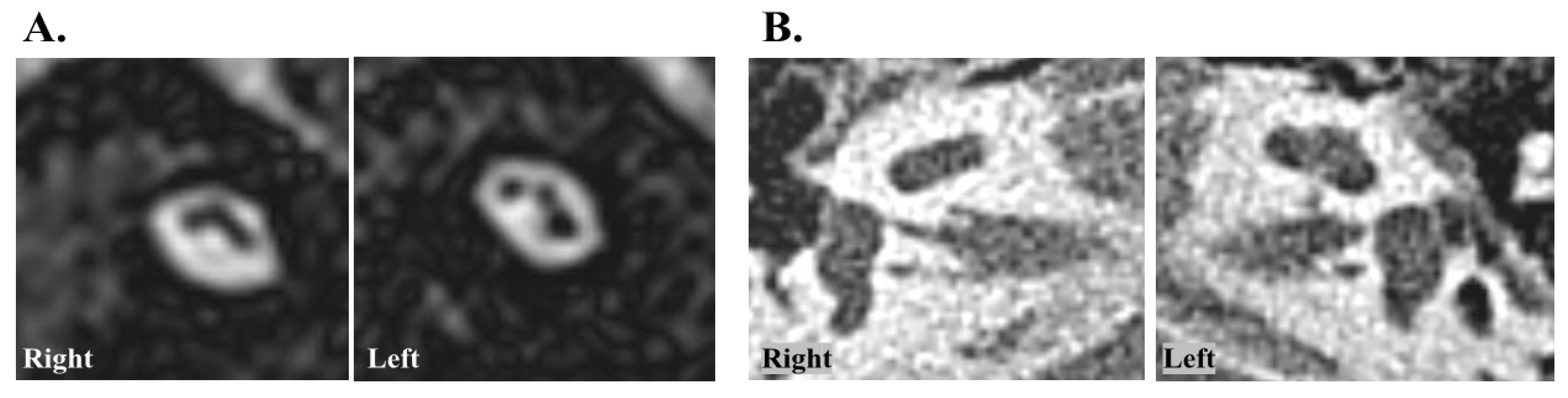 Medicina 58 01474 g001