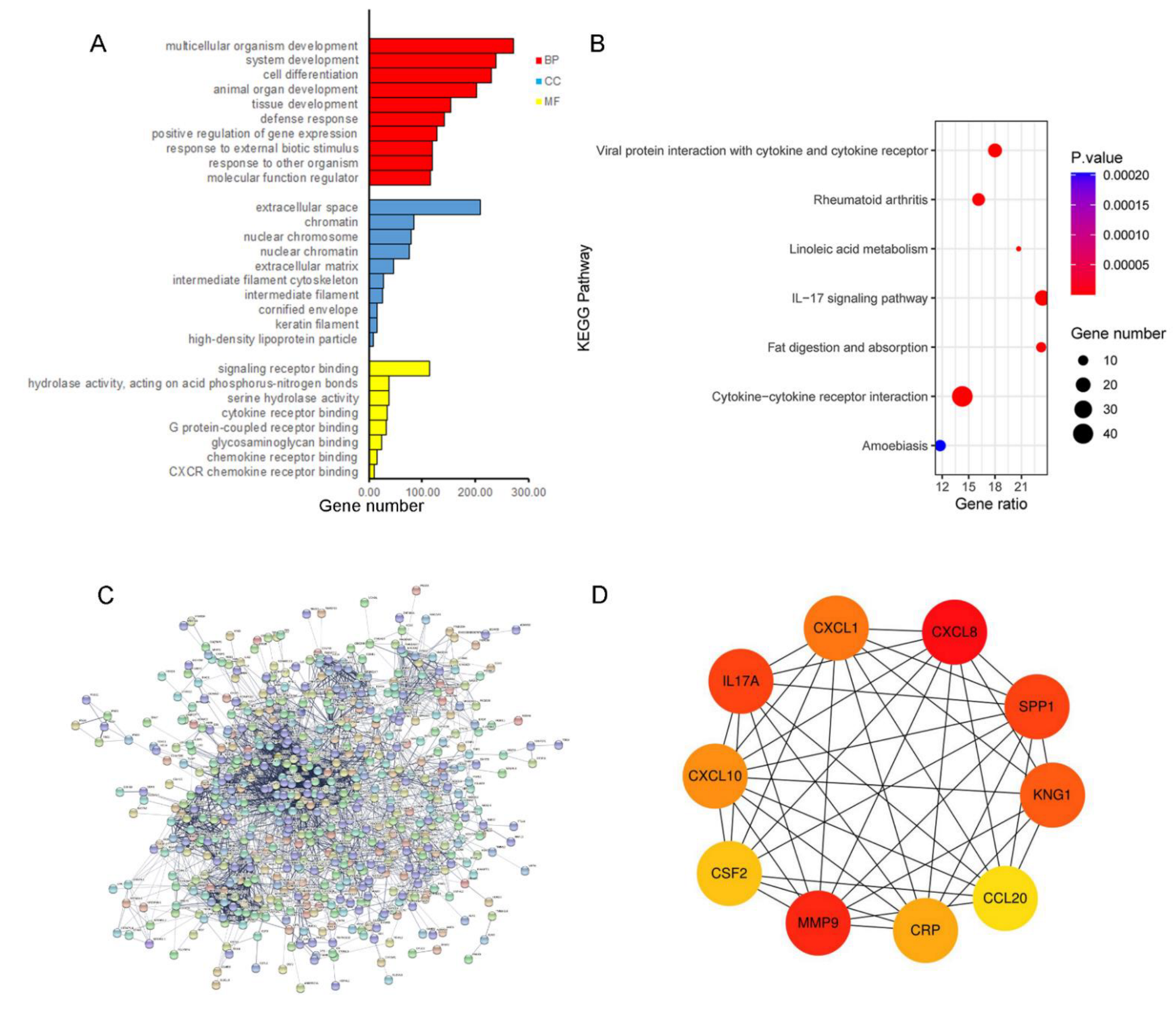 Medicina 58 01480 g002 Medicina 58 01480 g002