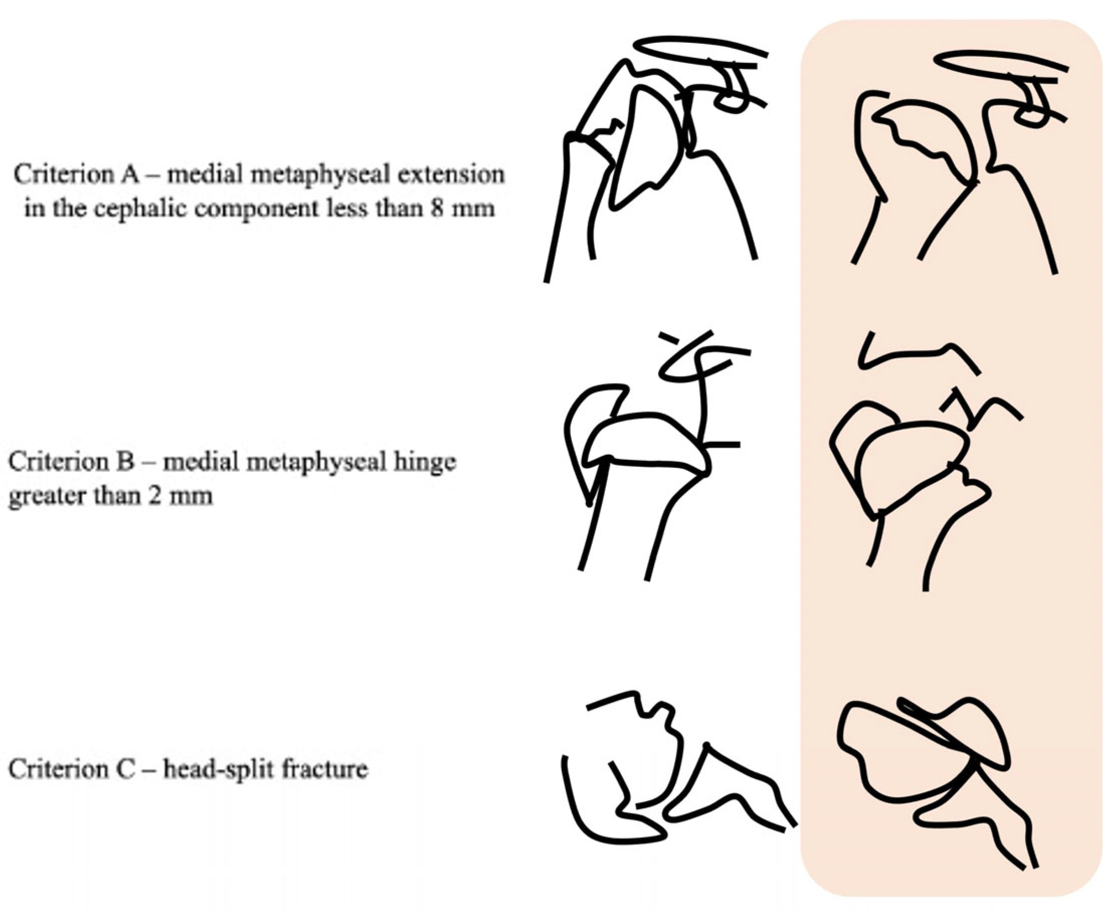 Medicina 58 01489 g001