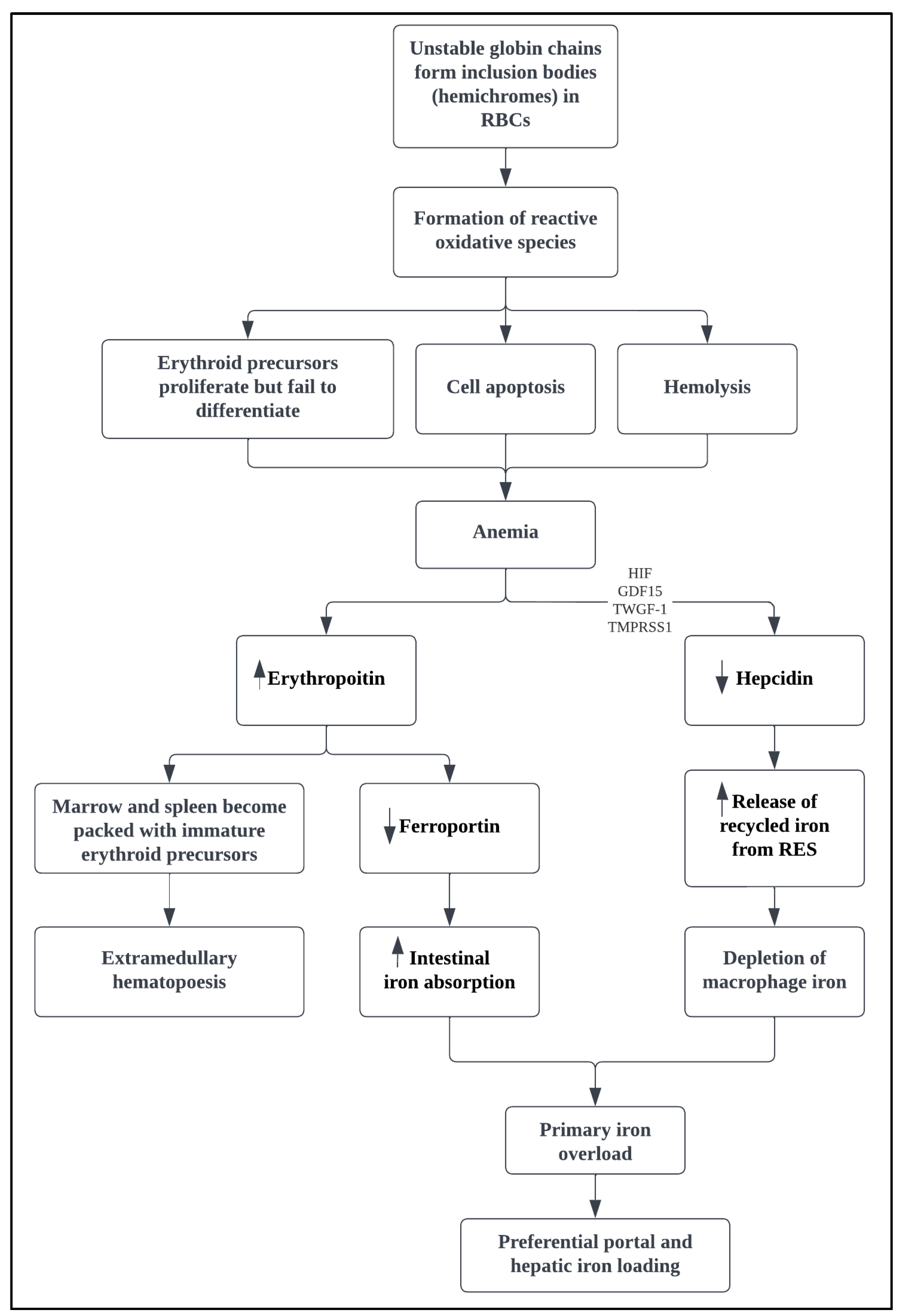 Medicina 58 01496 g001