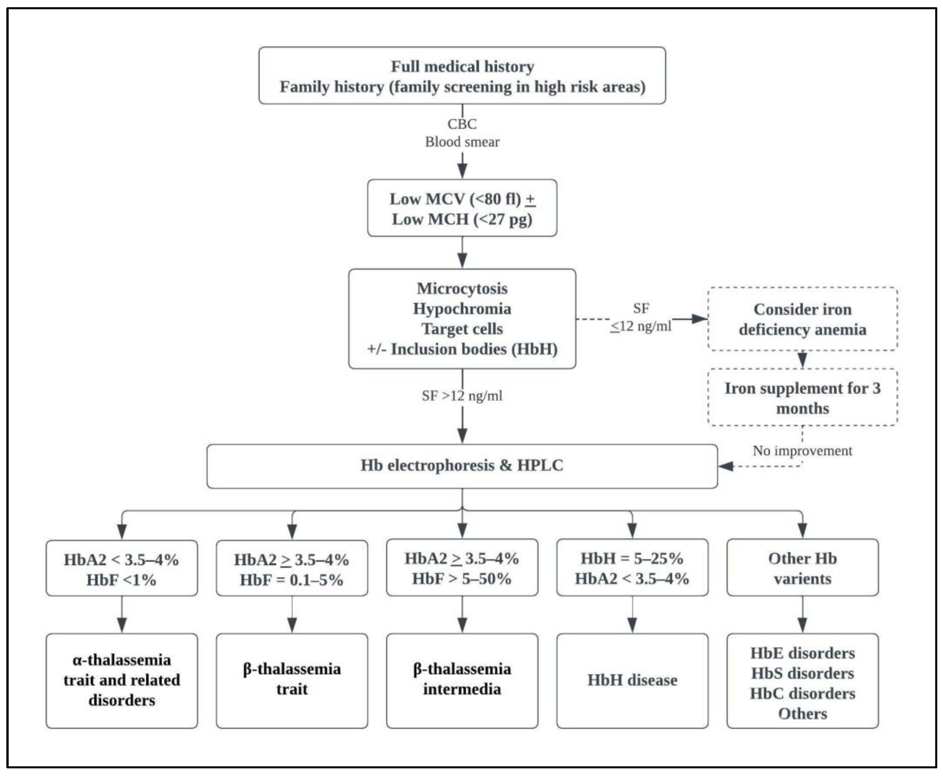 Medicina 58 01496 g002