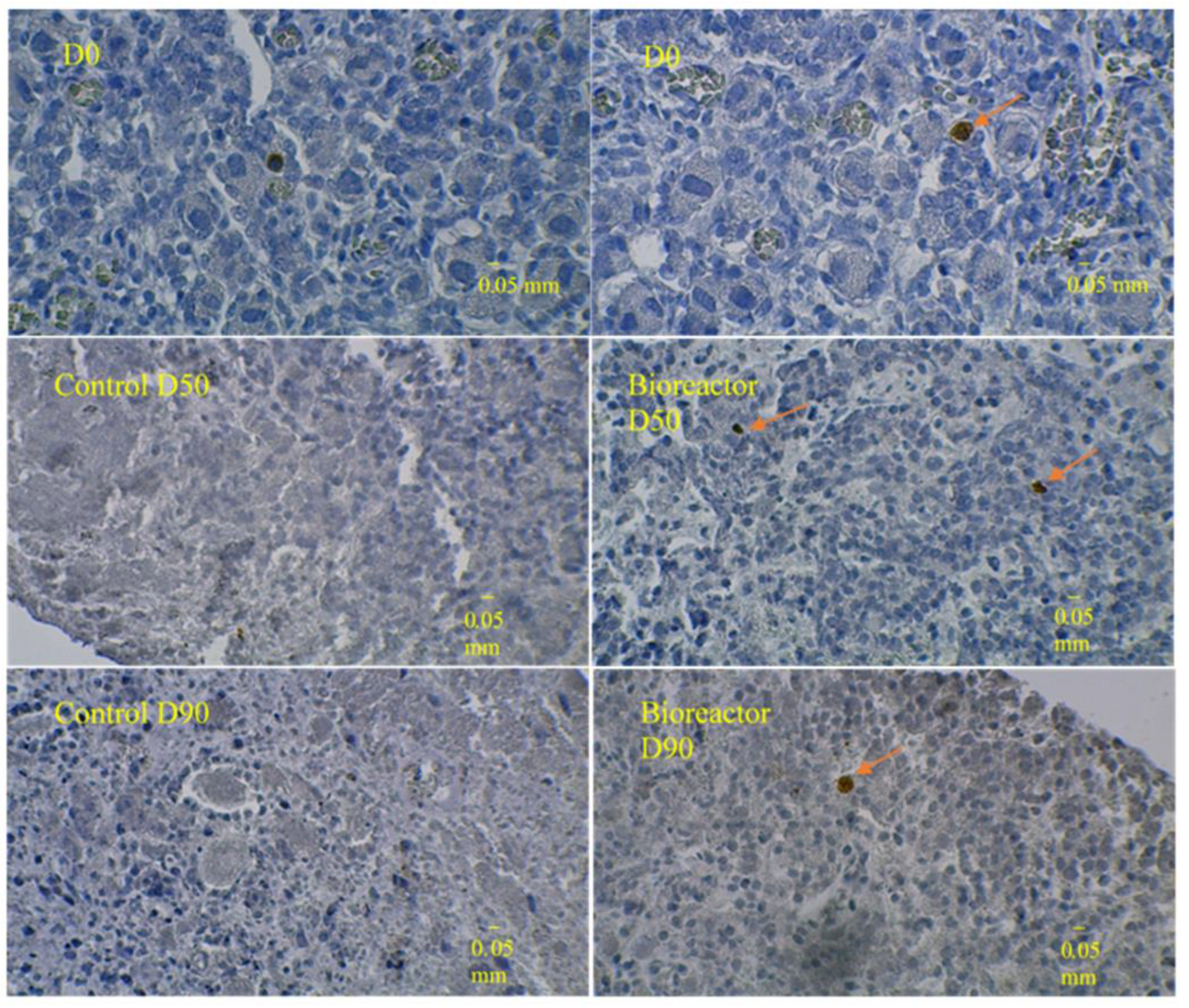 Medicina 58 01565 g007