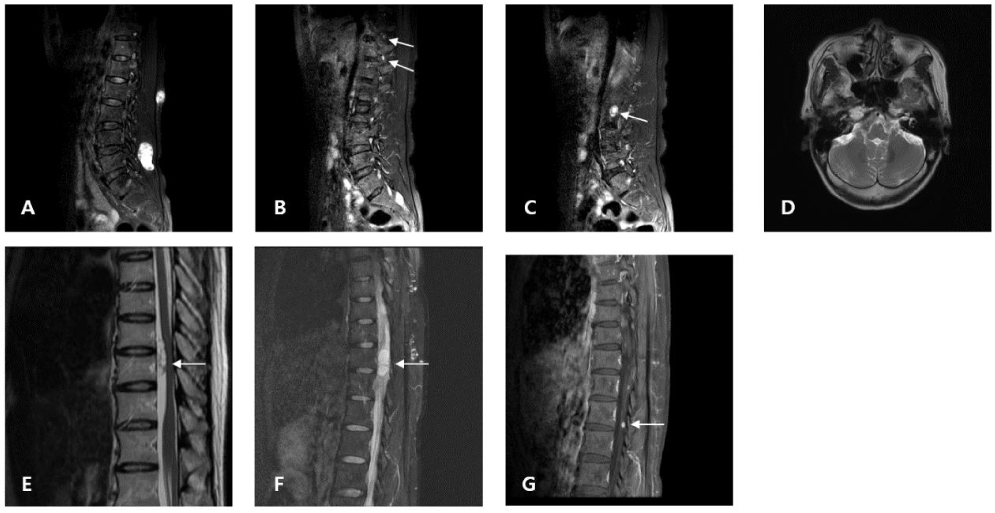 Medicina 58 01592 g001 Medicina 58 01592 g001