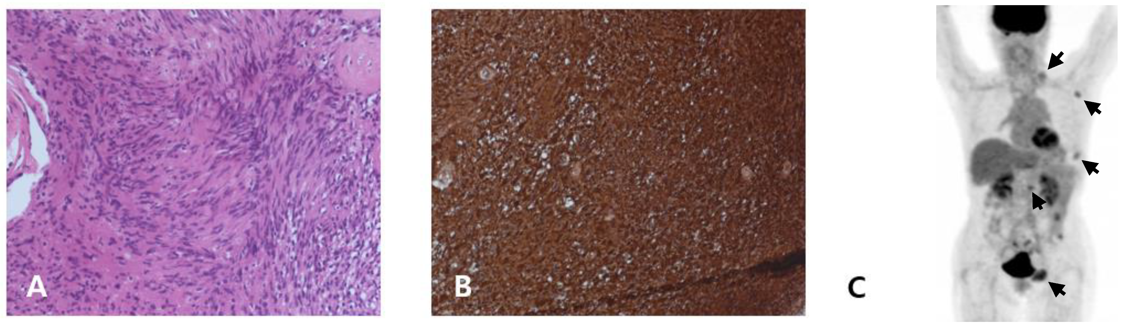 Medicina 58 01592 g002 Medicina 58 01592 g002