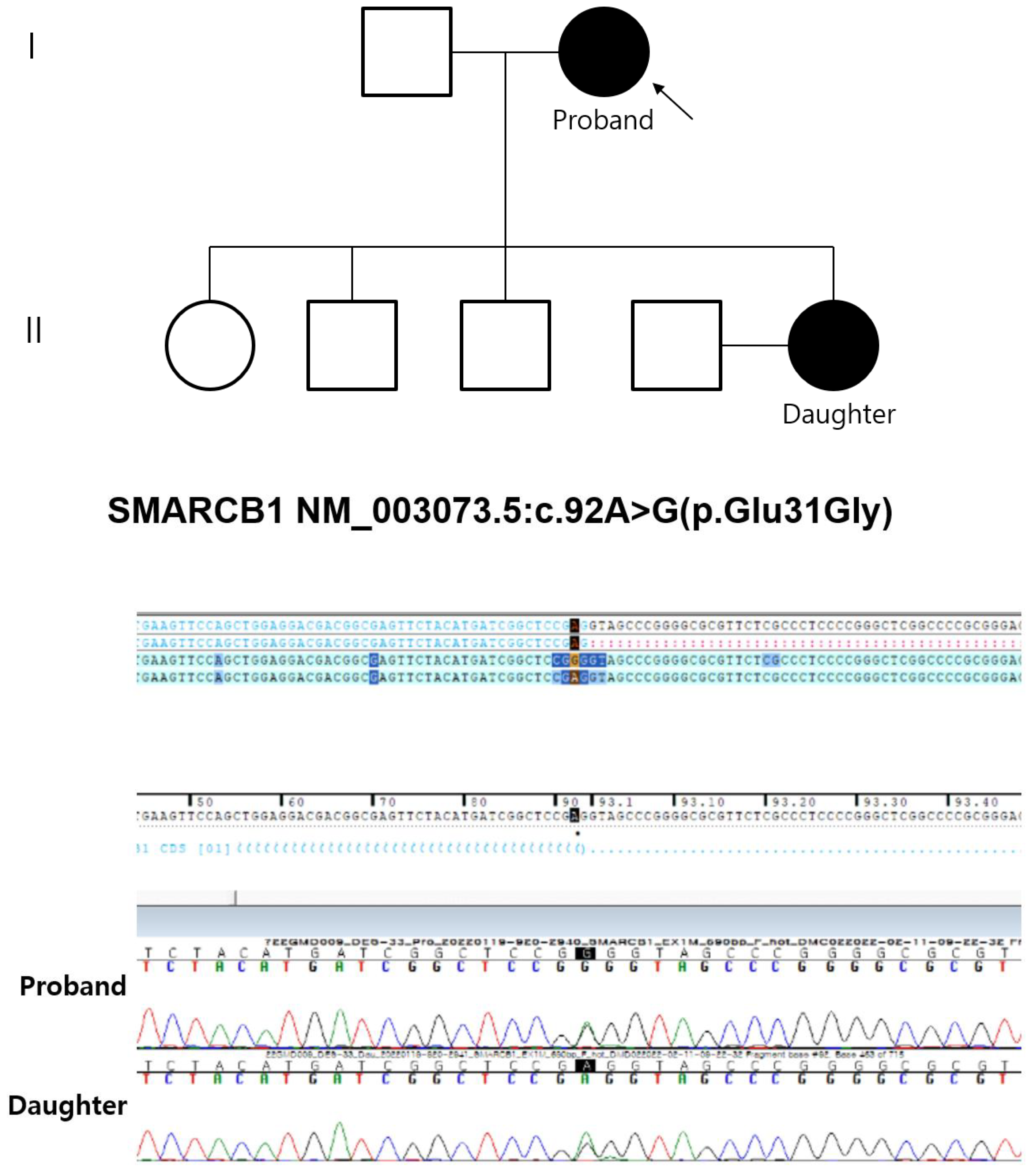 Medicina 58 01592 g003 Medicina 58 01592 g003