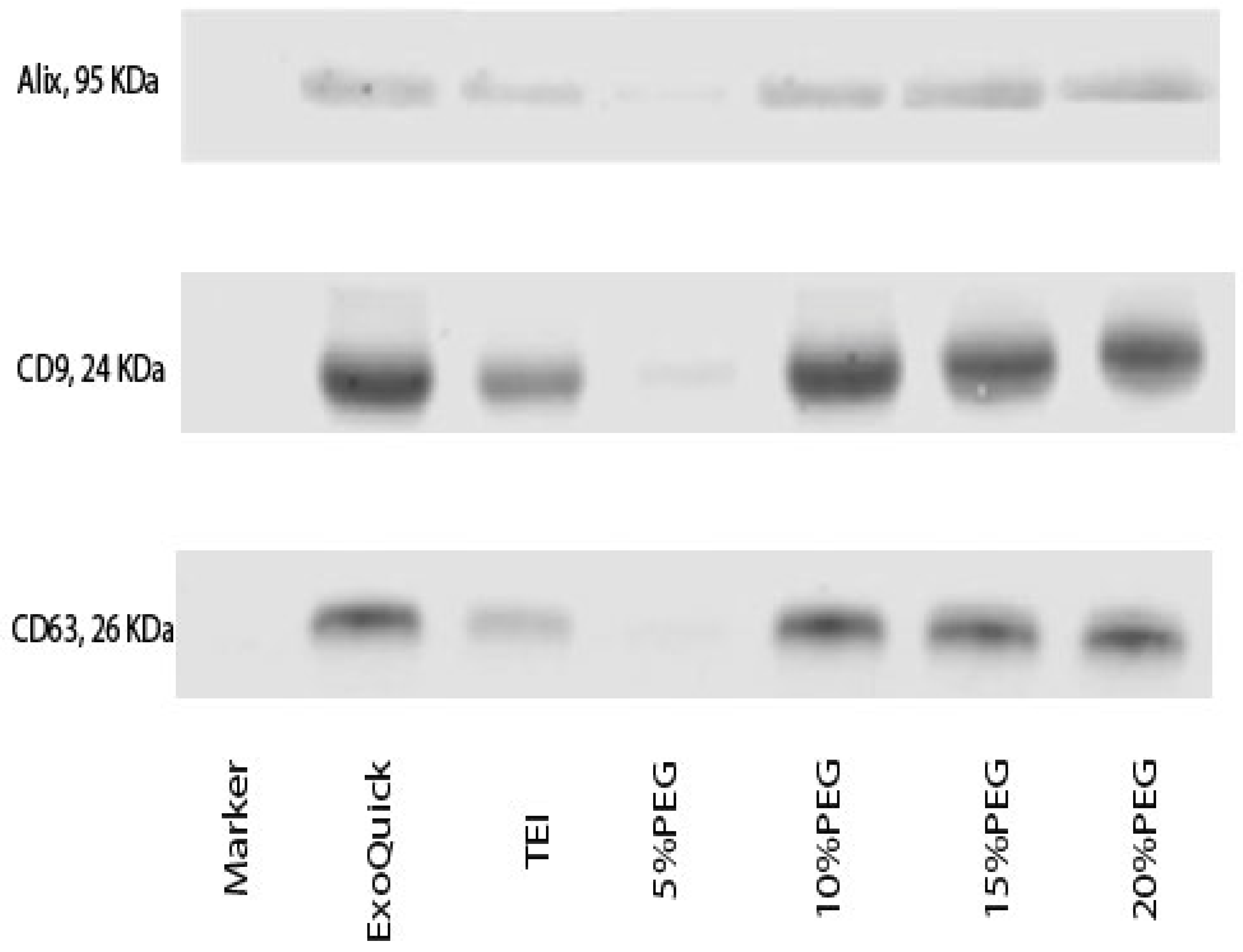 Medicina 58 01600 g003