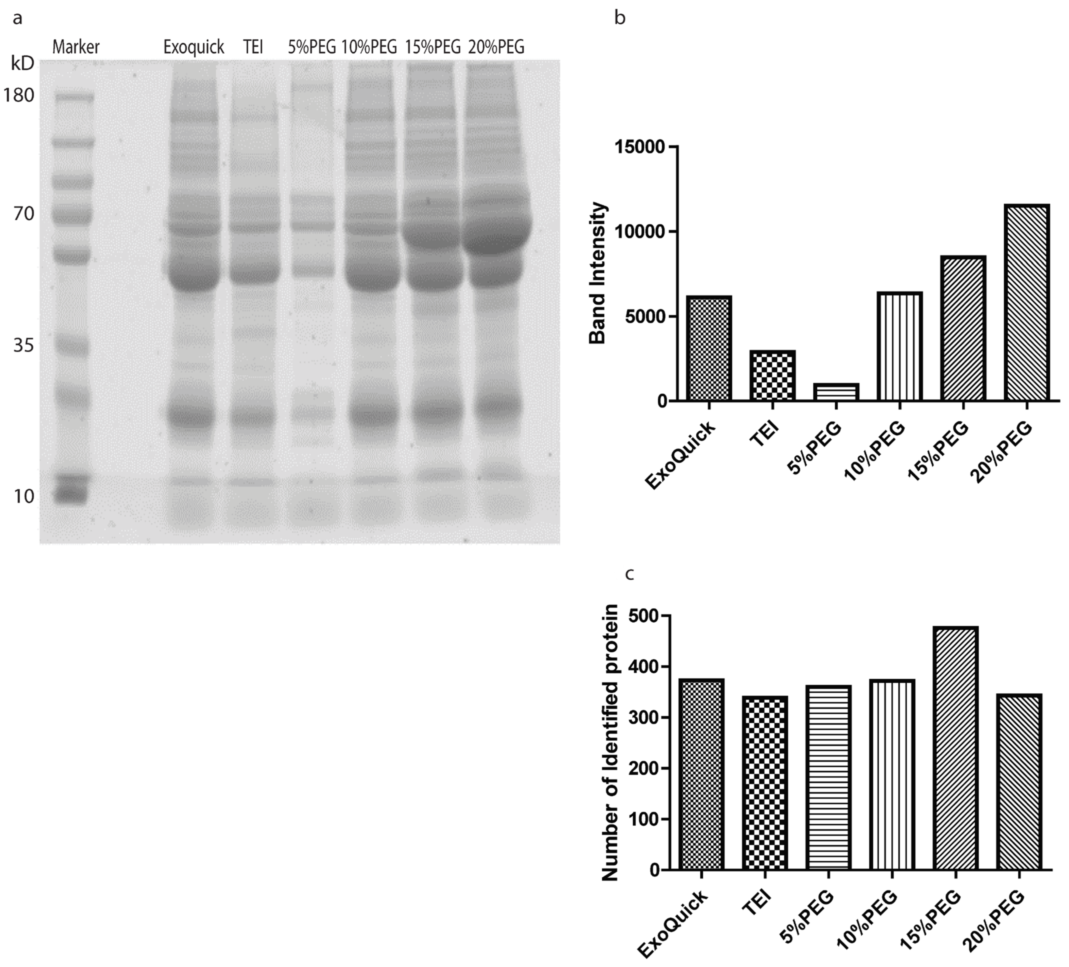 Medicina 58 01600 g006