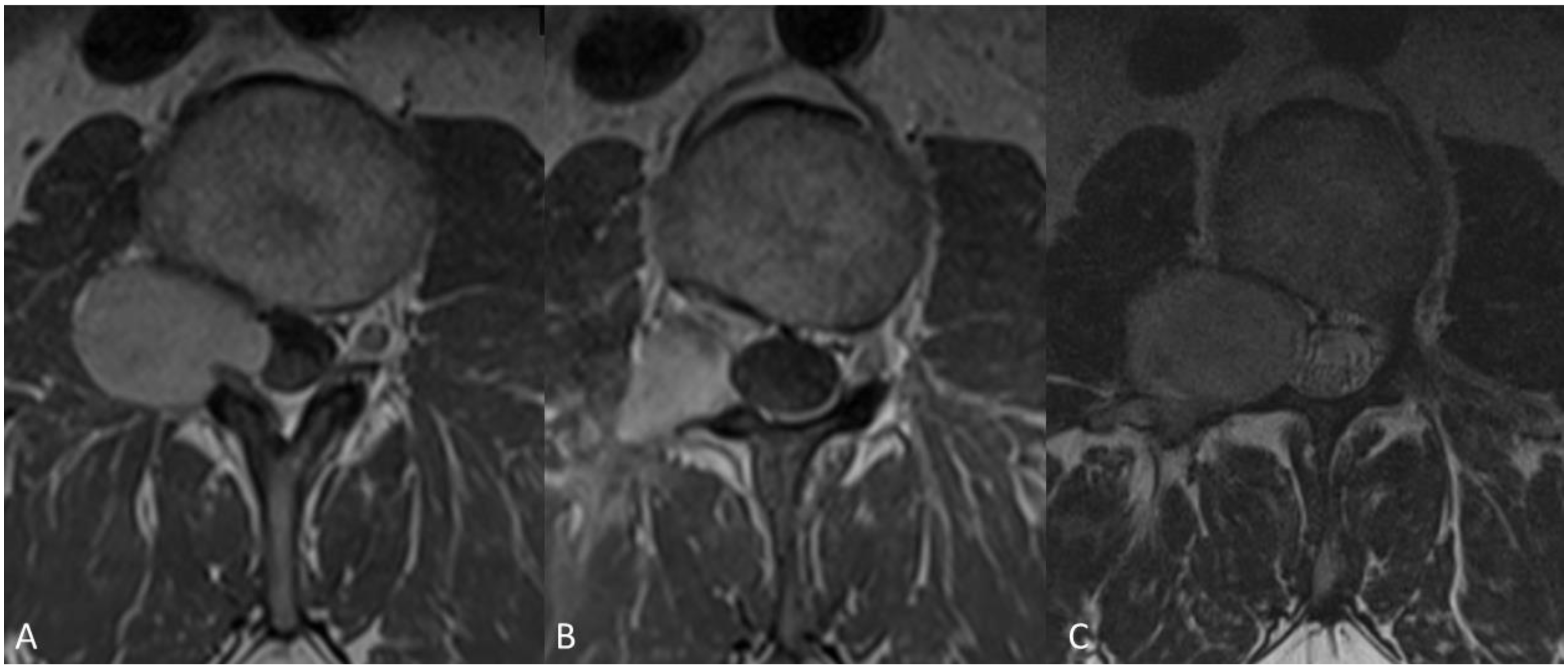 Medicina 58 01613 g004 Medicina 58 01613 g004