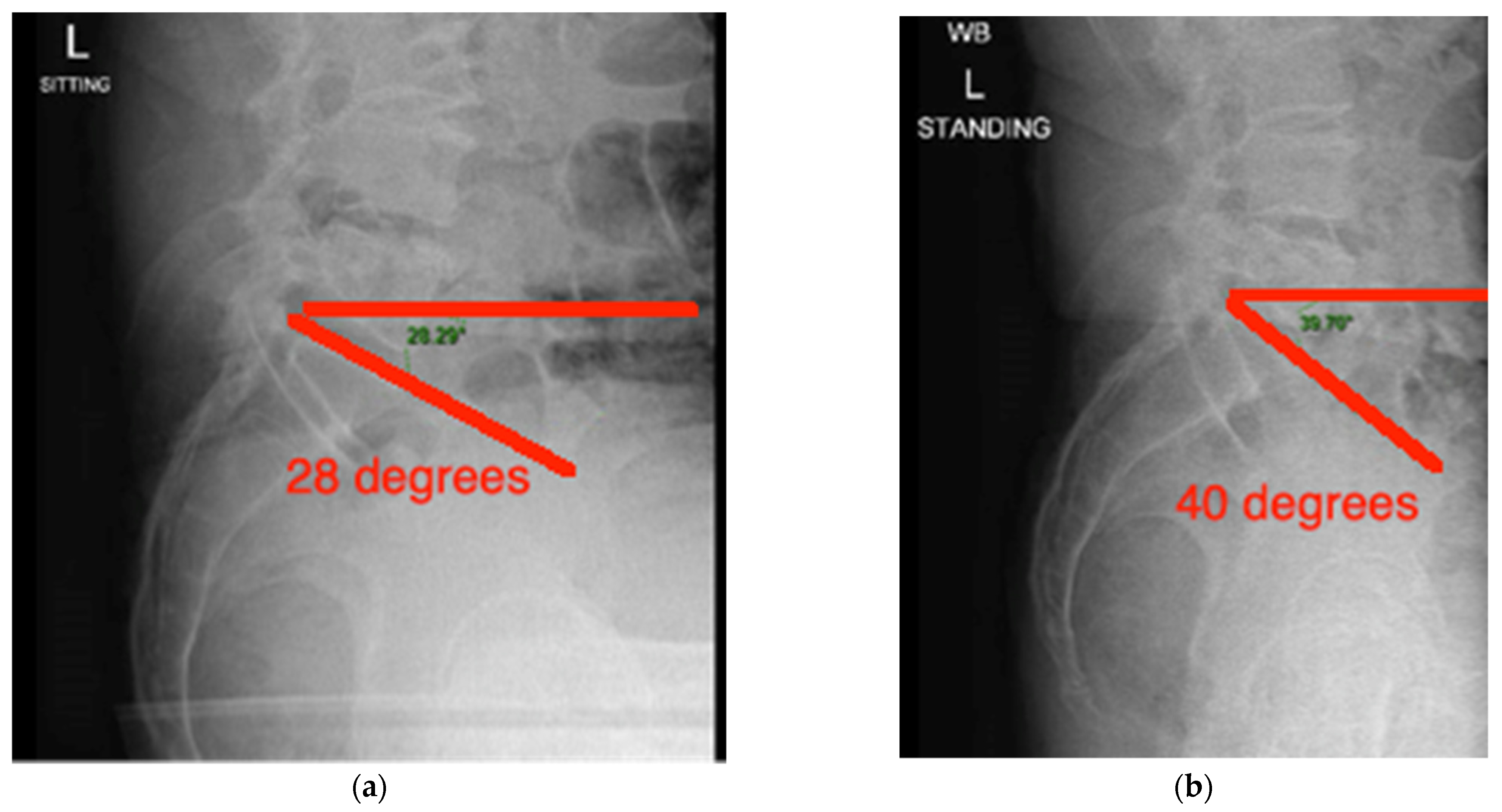 Medicina 58 01616 g001