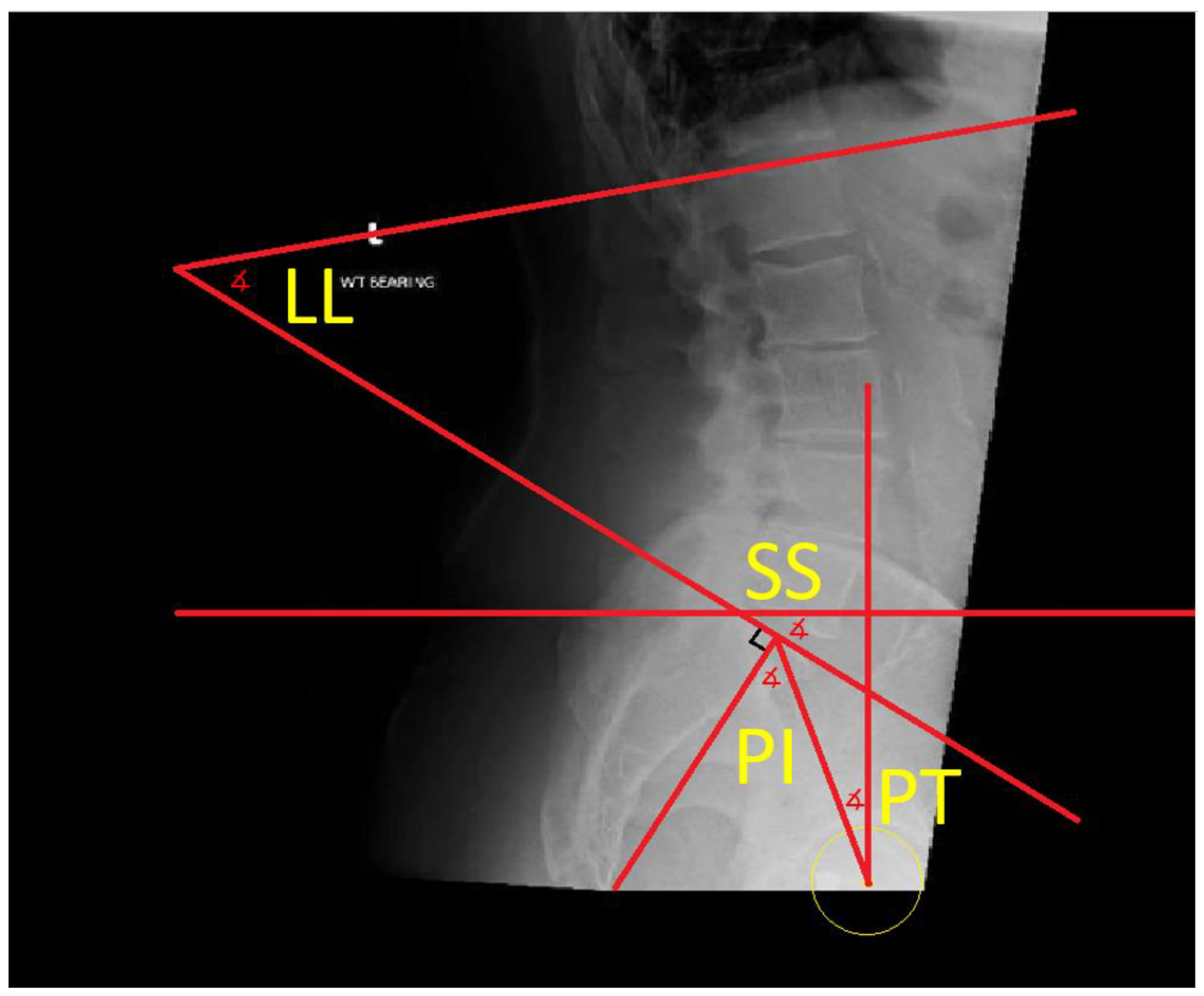 Medicina 58 01616 g002