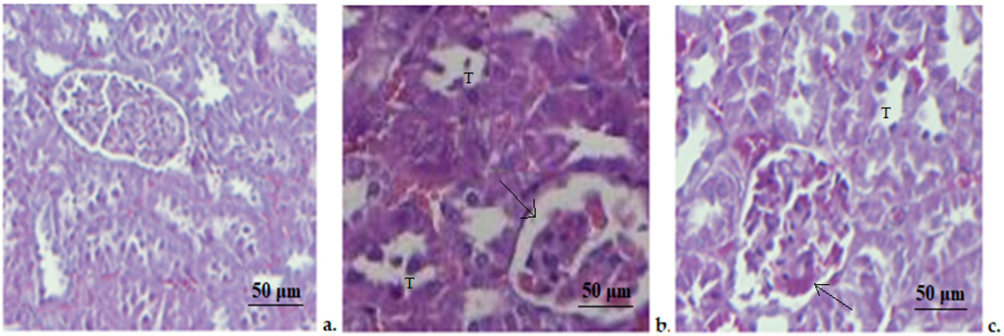 Medicina 58 01620 g005