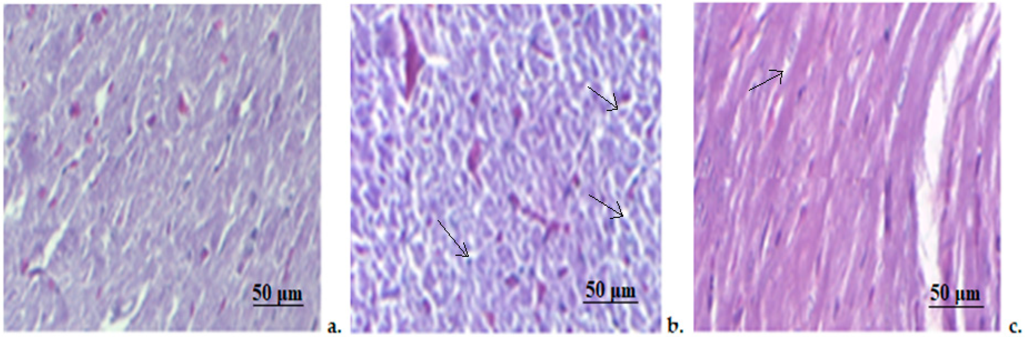 Medicina 58 01620 g006