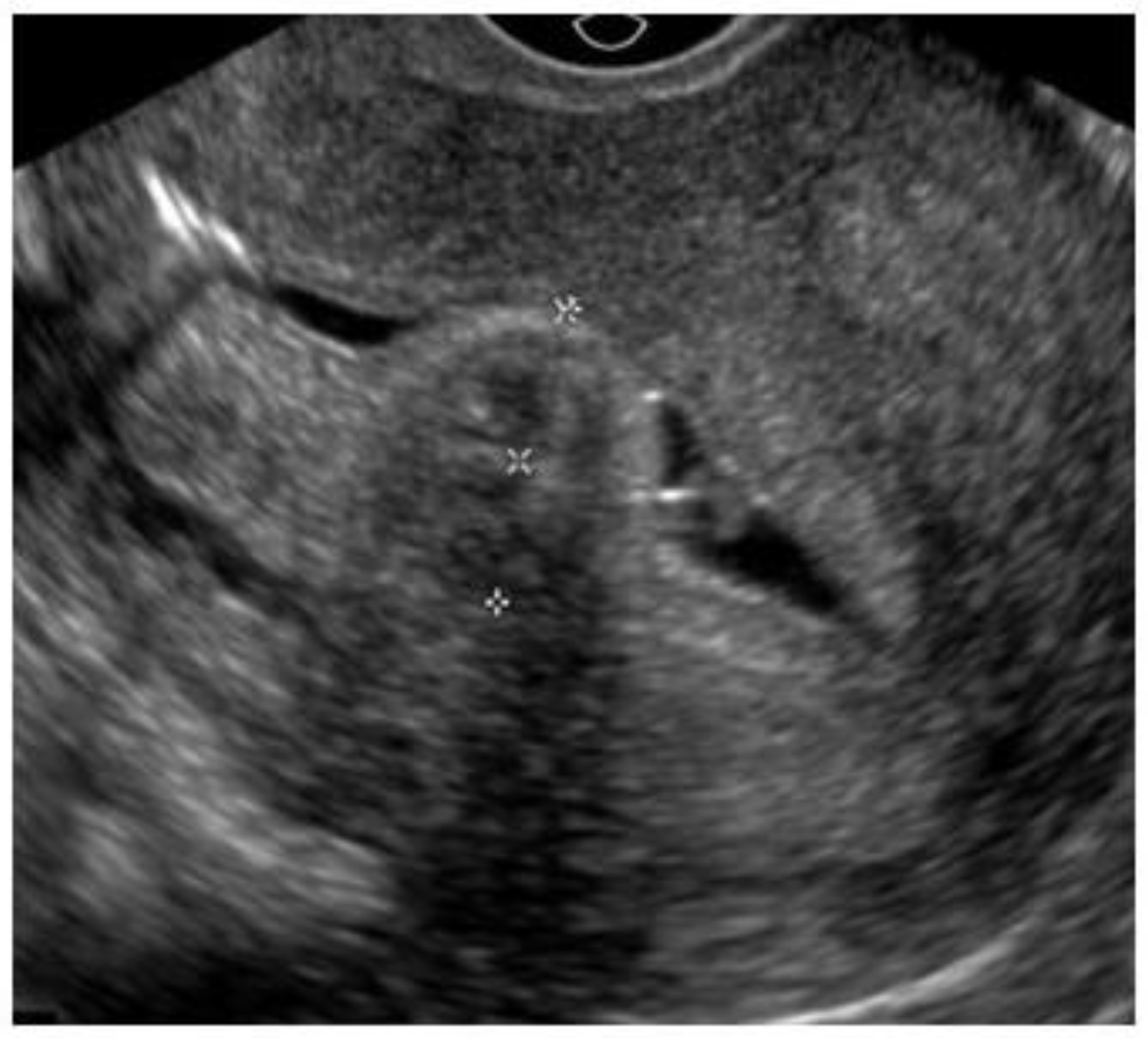 Medicina 58 01627 g002