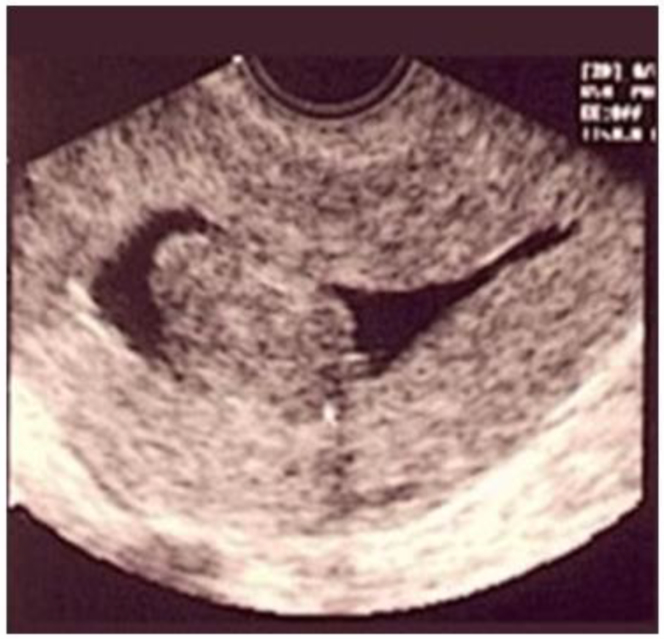 Medicina 58 01627 g003