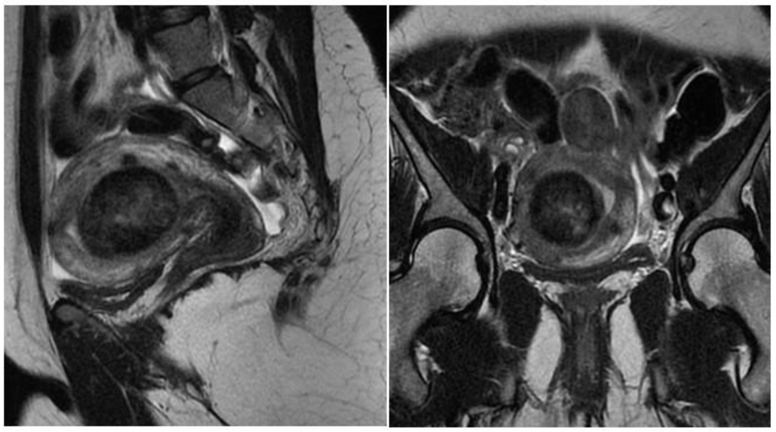 Medicina 58 01627 g004
