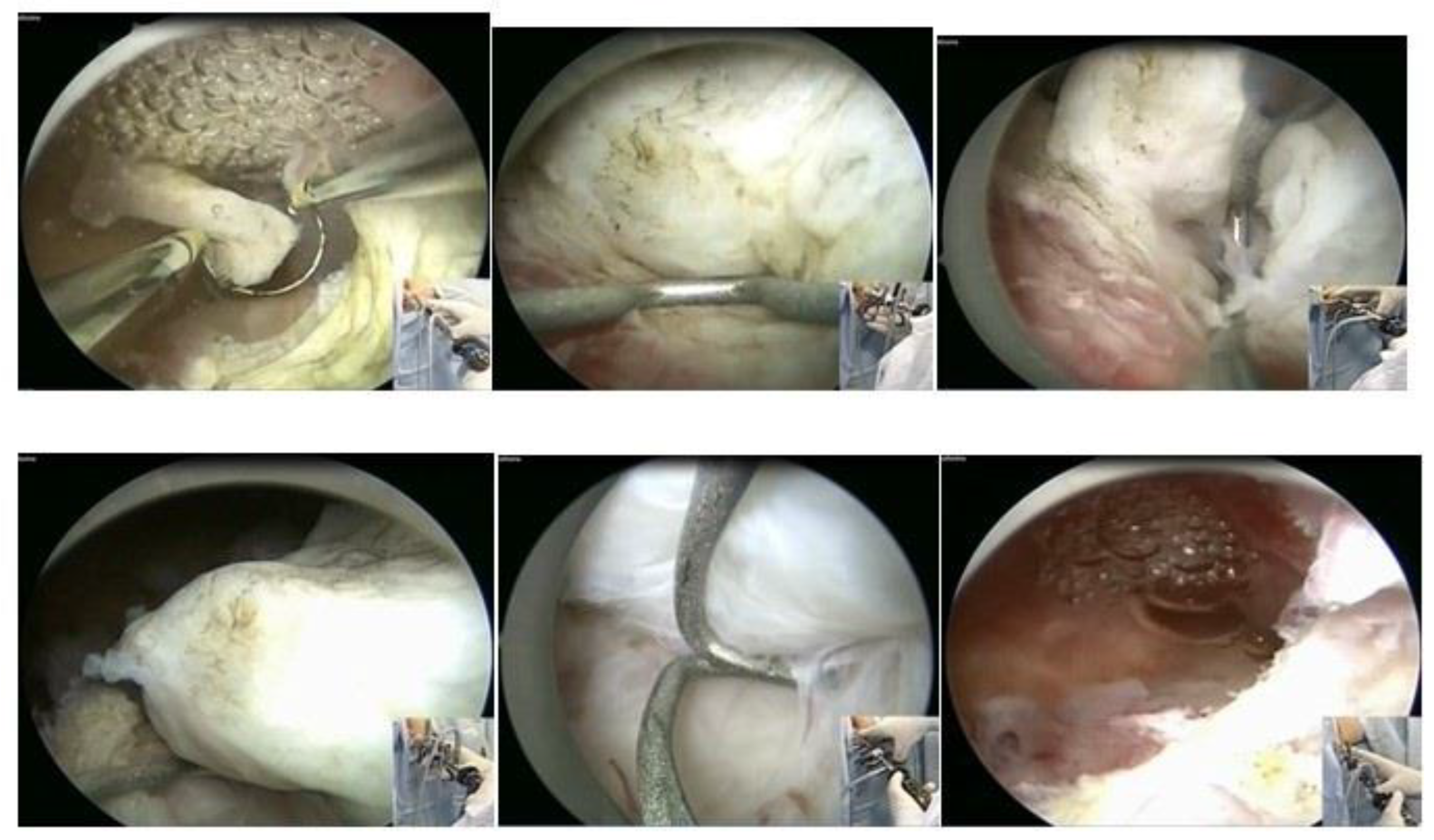 Medicina 58 01627 g013