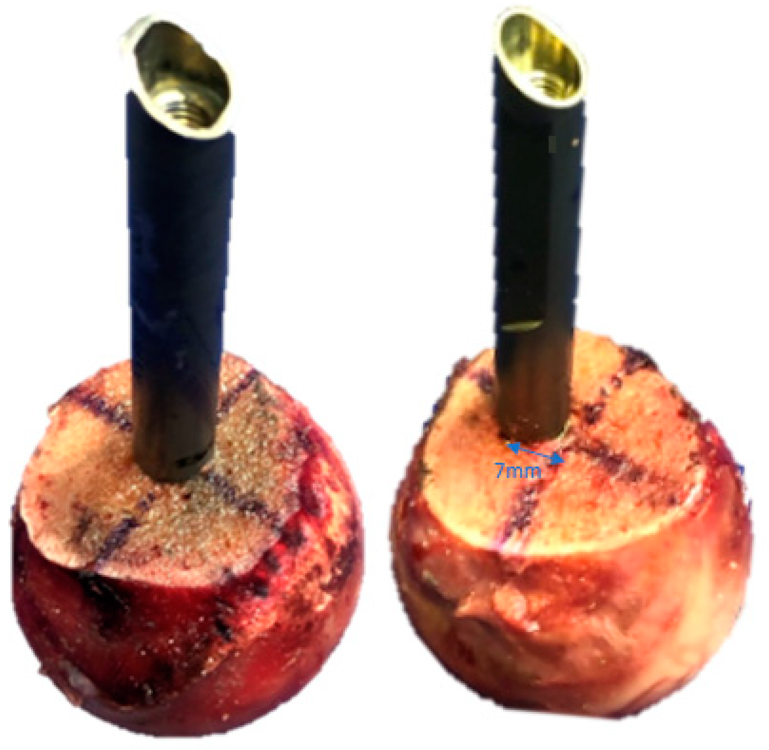 Medicina 58 01636 g001