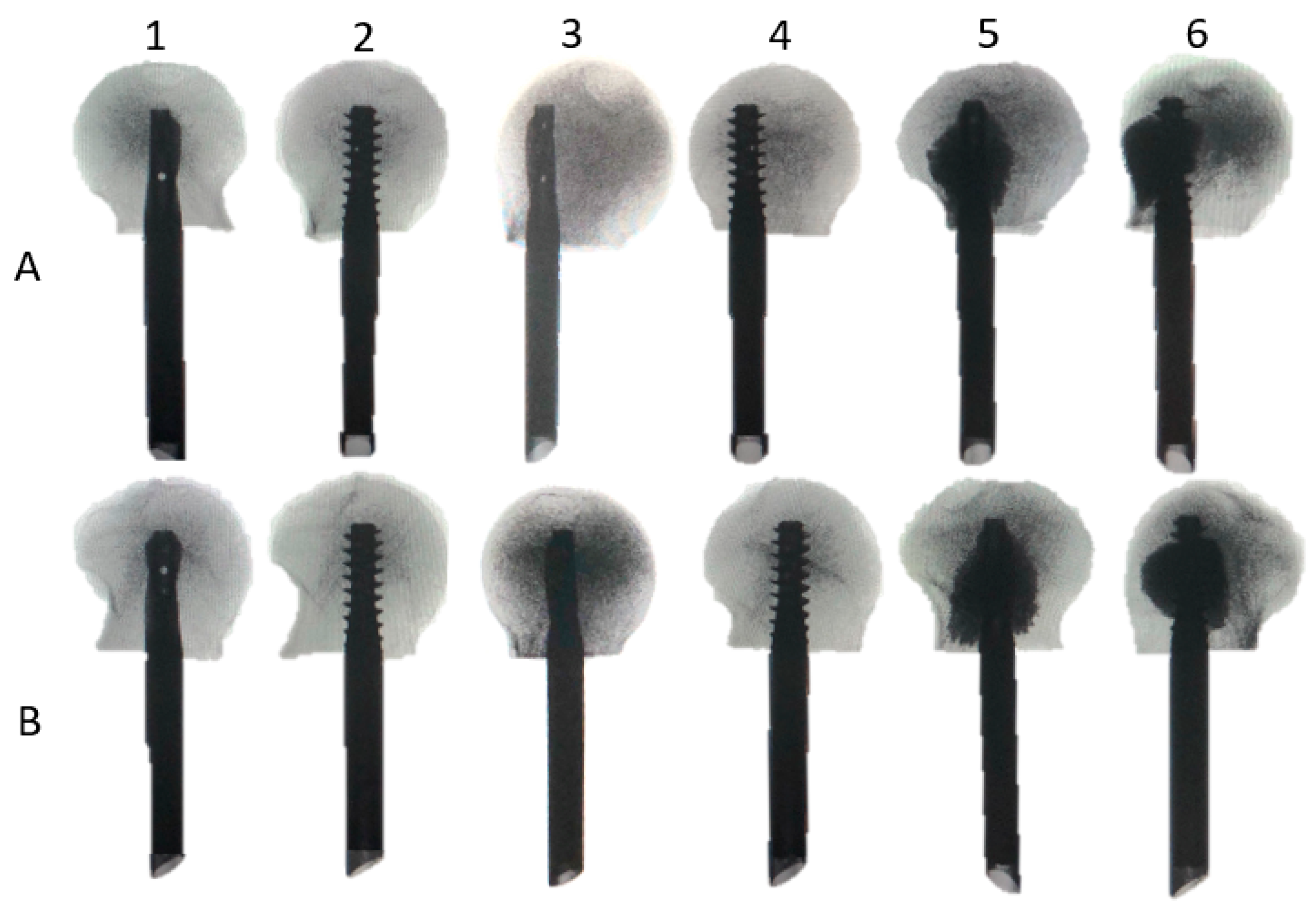 Medicina 58 01636 g002