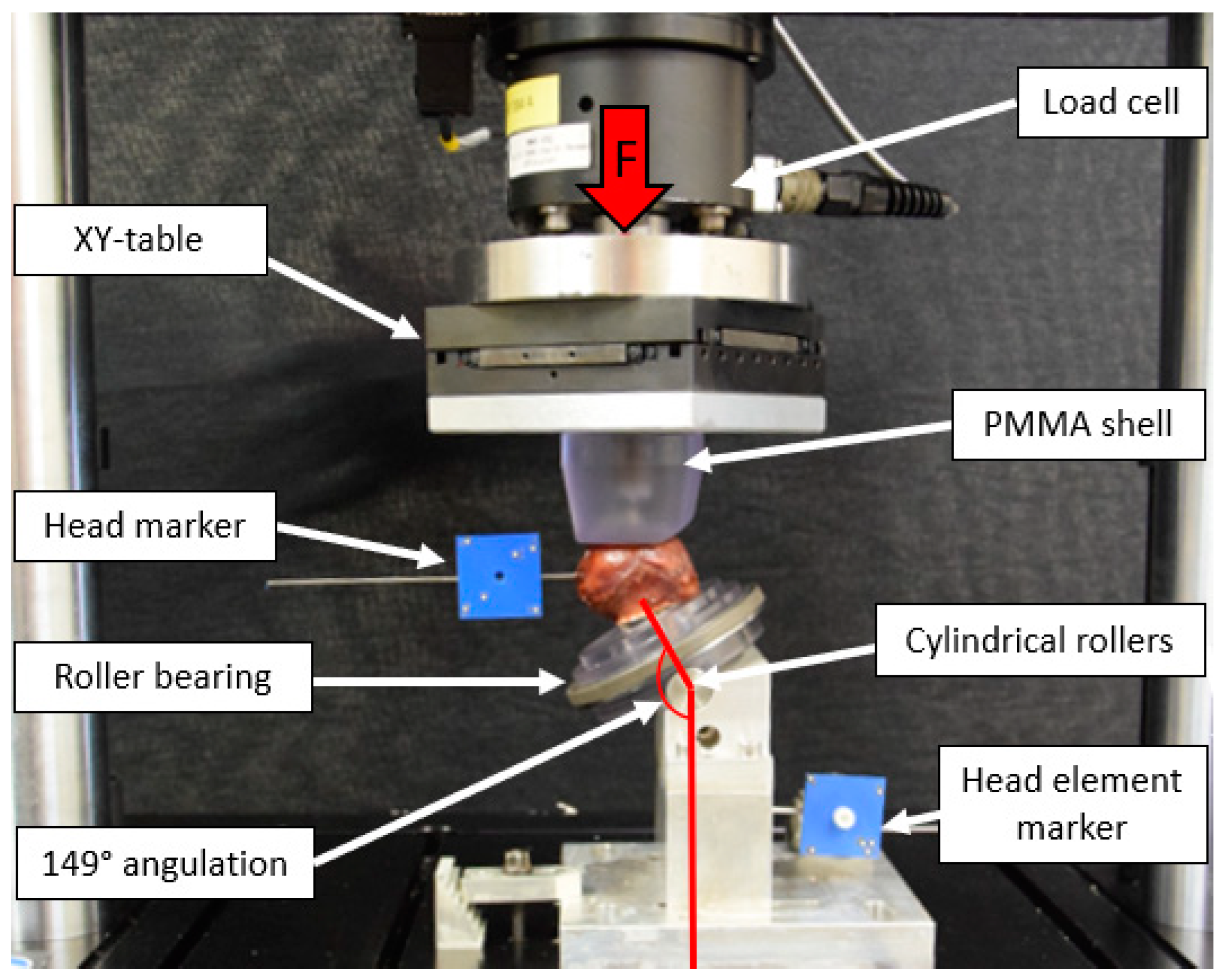 Medicina 58 01636 g003